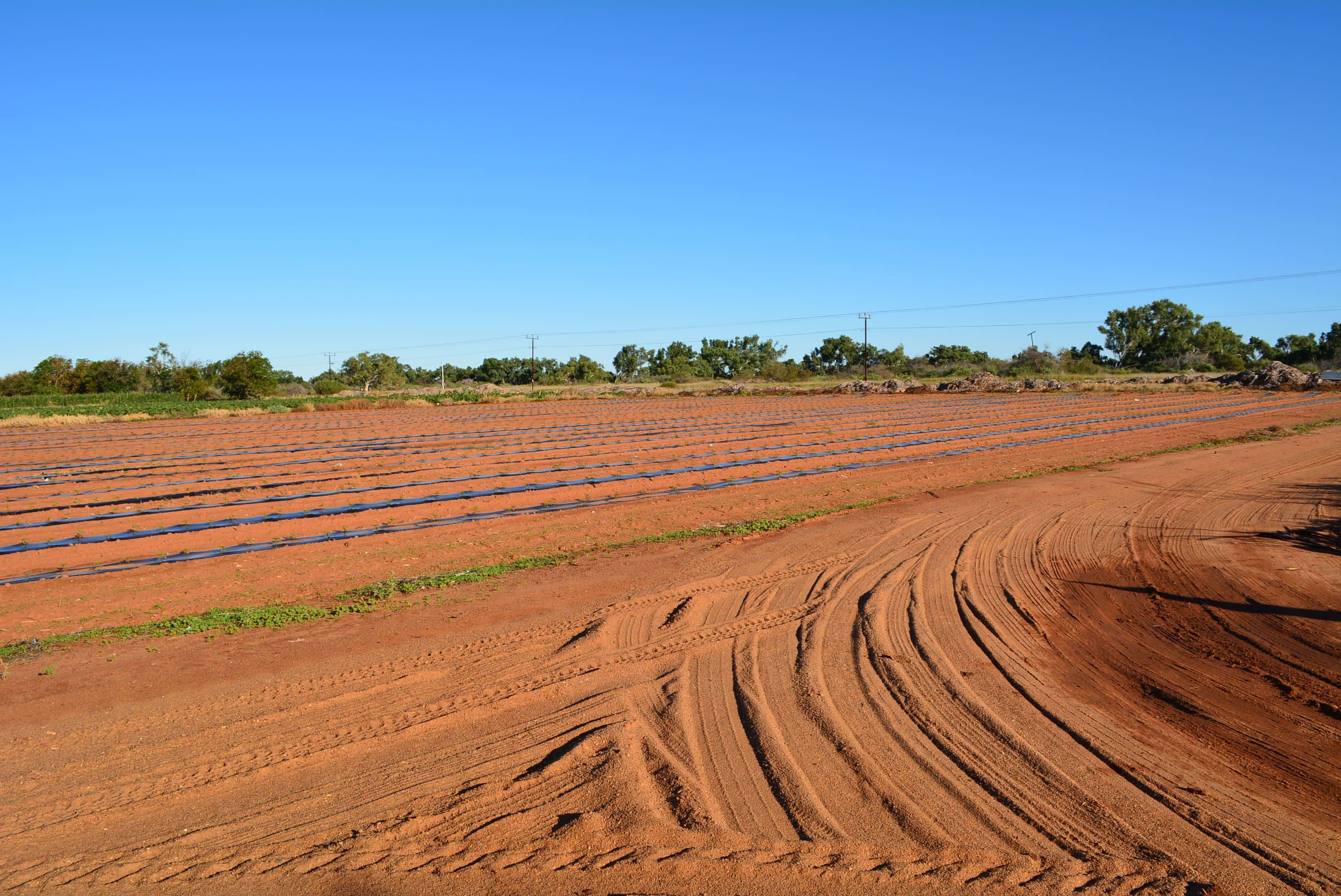 588 South River Road, Carnarvon WA 6701, Carnarvon - Thumbnail 5