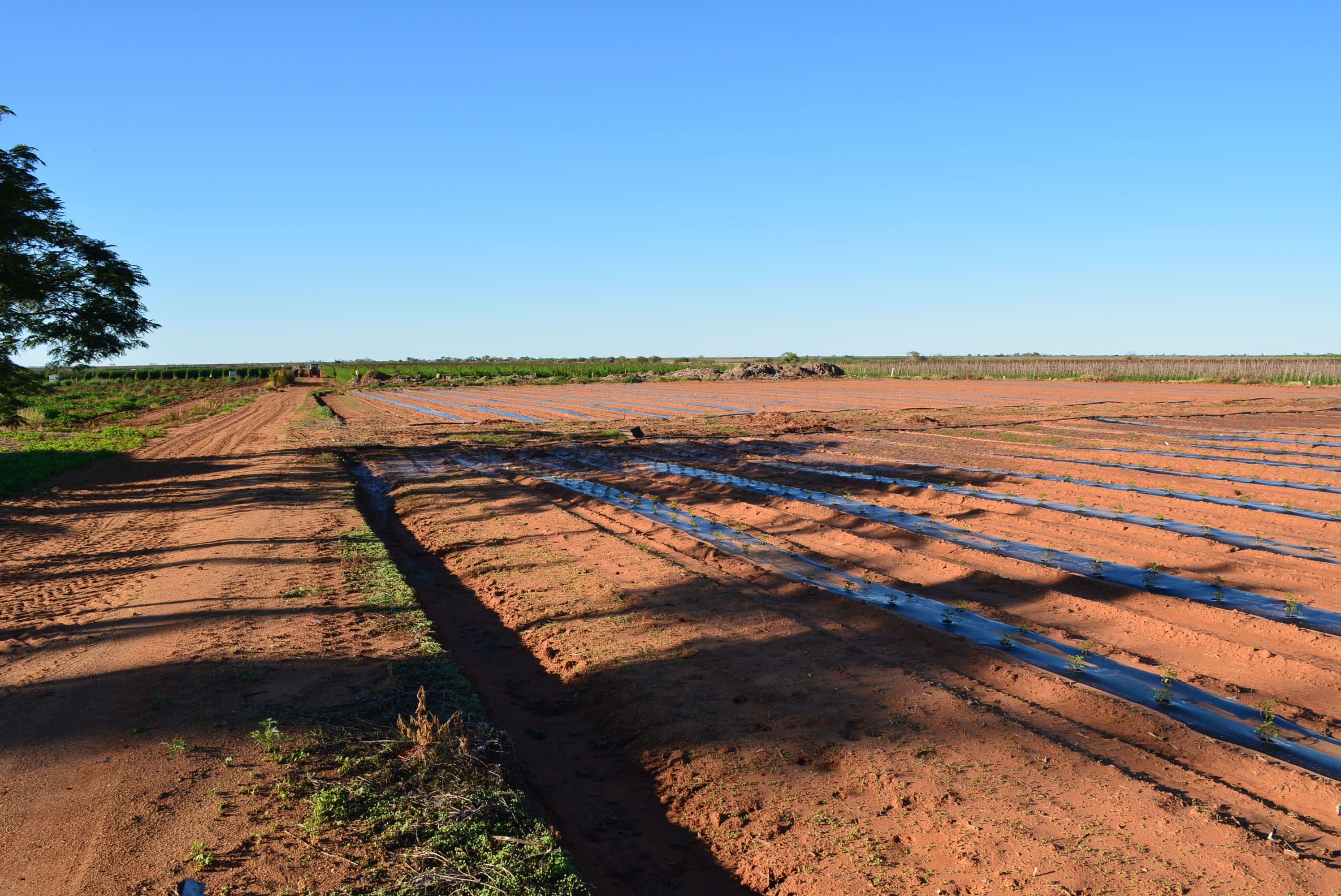 588 South River Road, Carnarvon WA 6701, Carnarvon - Thumbnail 6