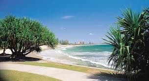 67 Yakola Parade, Alexandra Headland QLD 4572, Alexandra Headland - Thumbnail 3