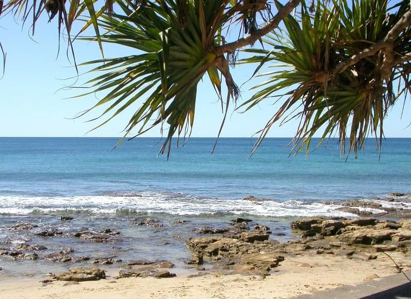 67 Yakola Parade, Alexandra Headland QLD 4572, Alexandra Headland - Thumbnail 4