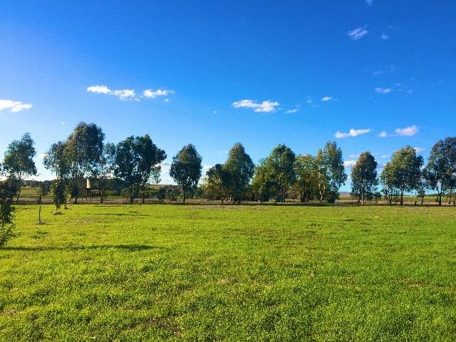 47A Thelgor Lane, Cowra NSW 2794, Cowra - Image 1