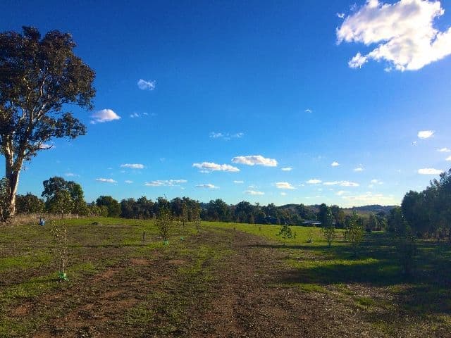 47A Thelgor Lane, Cowra NSW 2794, Cowra - Thumbnail 5