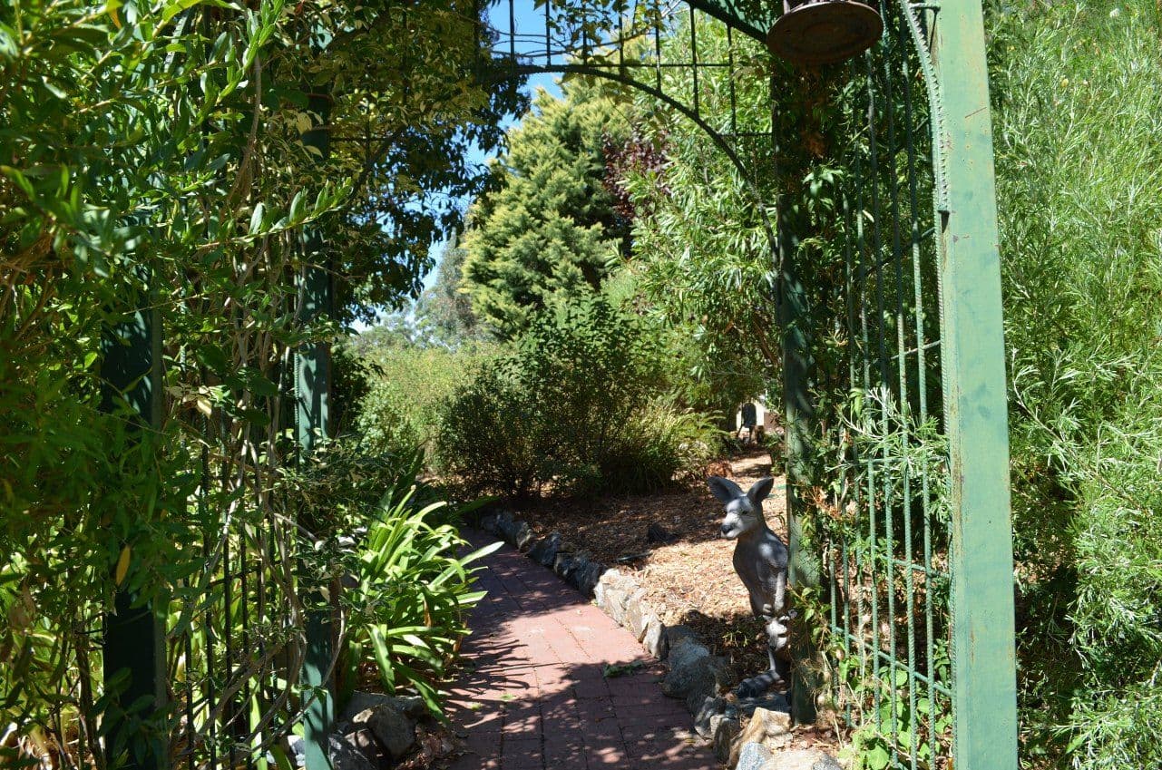 11 Harris Place, JARRAHDALE WA 6124, Jarrahdale - Thumbnail 8