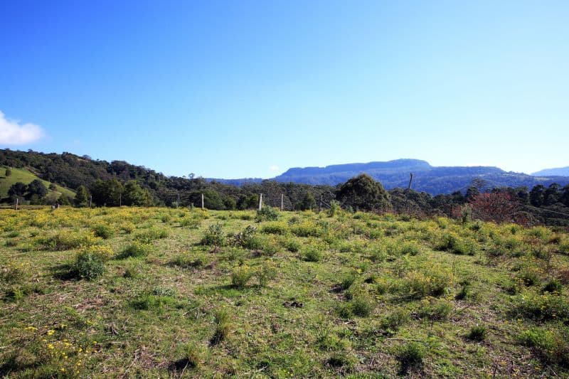 Lot 403 Huntingdale Park Estate, Berry NSW 2535, Berry - Thumbnail 6