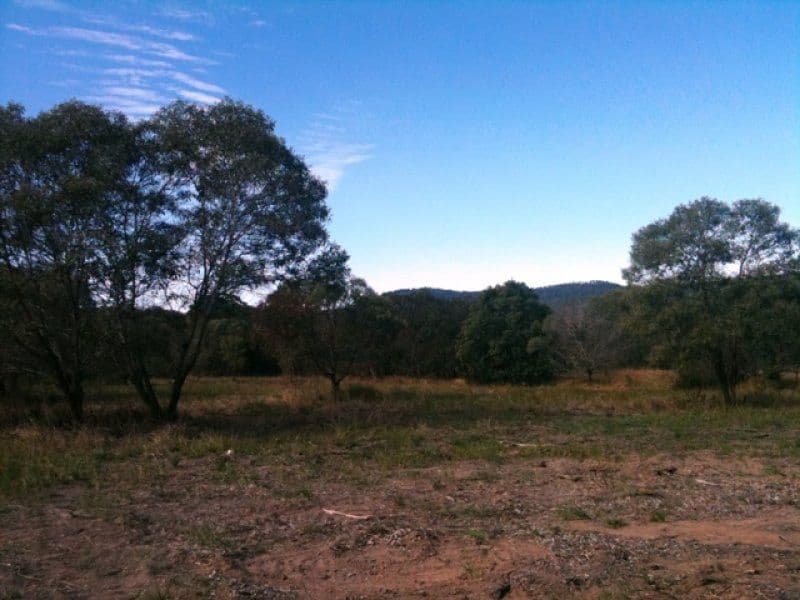 742 Waterford-Tamborine Road, BUCCAN QLD 4207, Buccan - Thumbnail 5