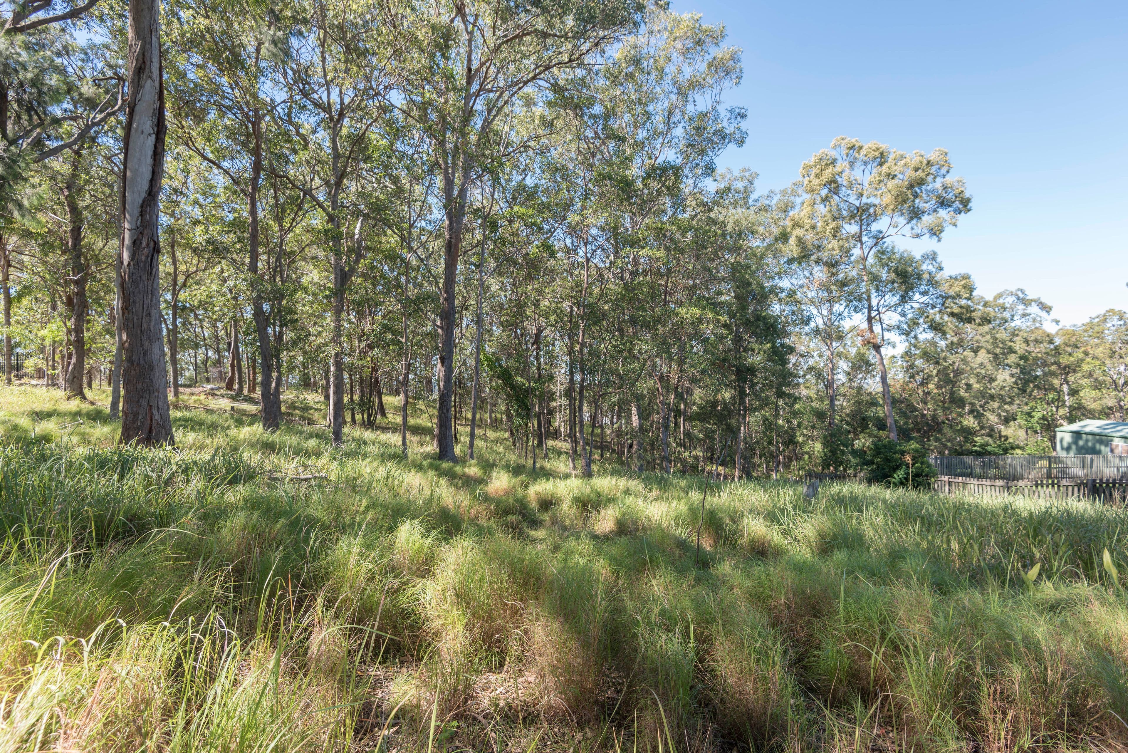 38 Simpsons Road, Currumbin Waters QLD 4223, Currumbin Waters - Thumbnail 2
