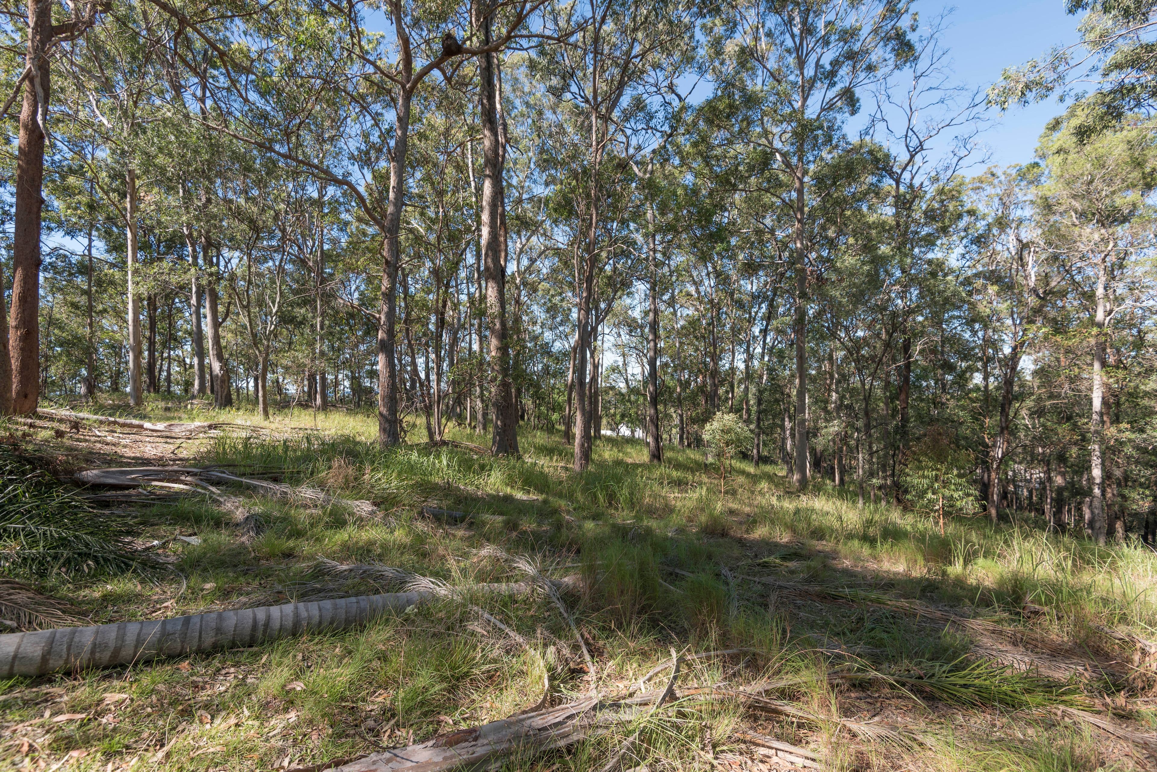 38 Simpsons Road, Currumbin Waters QLD 4223, Currumbin Waters - Thumbnail 3