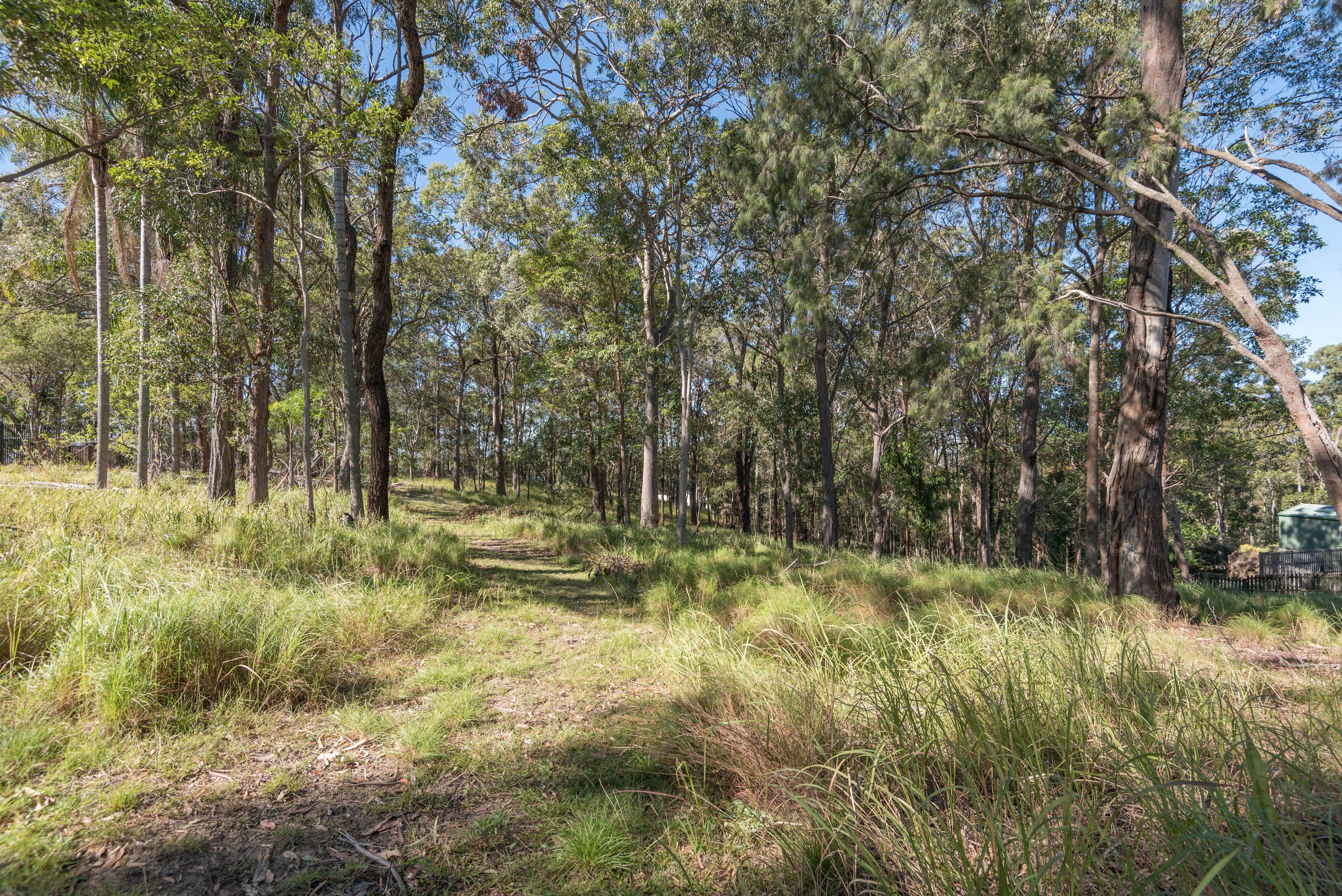 38 Simpsons Road, Currumbin Waters QLD 4223, Currumbin Waters - Thumbnail 5