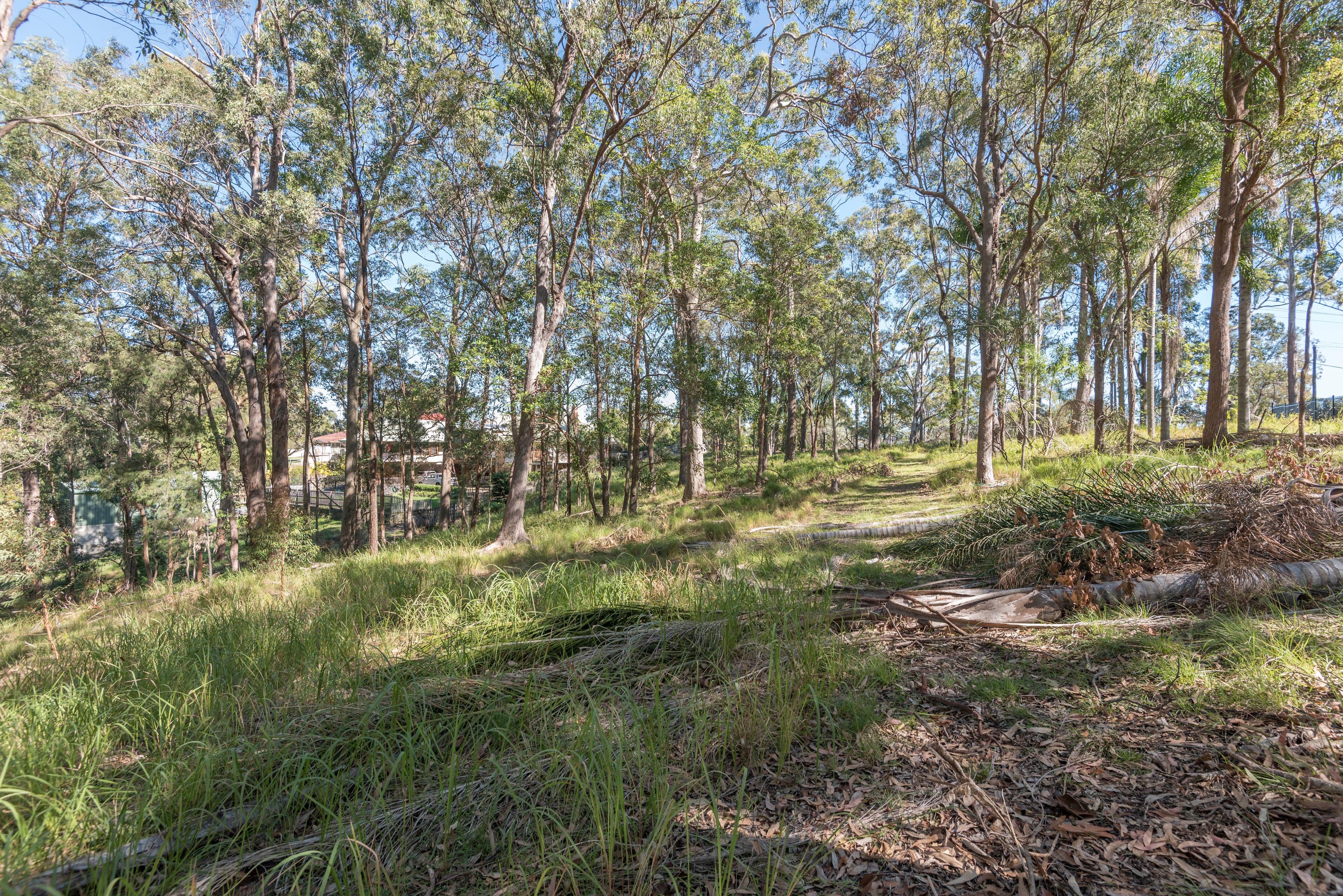 38 Simpsons Road, Currumbin Waters QLD 4223, Currumbin Waters - Thumbnail 7