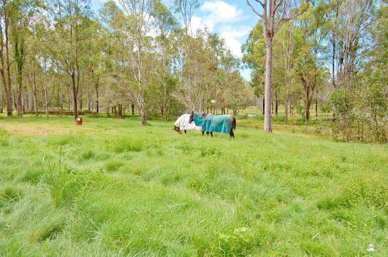 BUCCAN QLD 4207, Buccan - Thumbnail 2