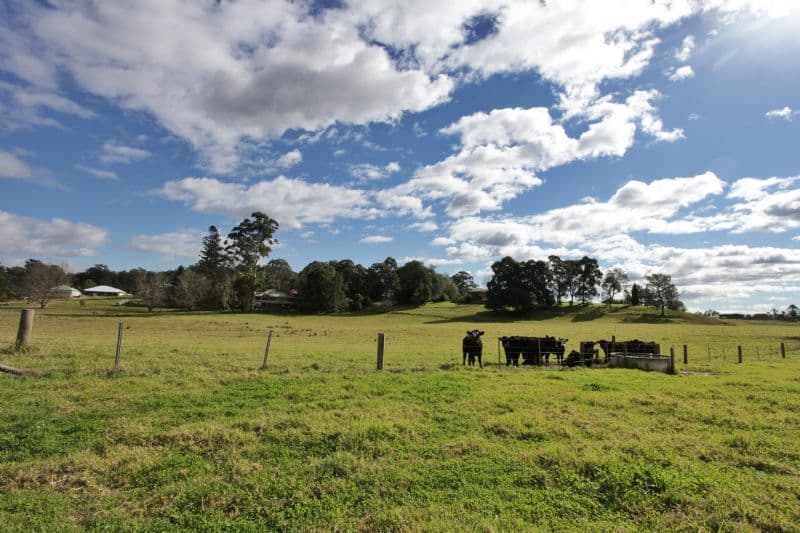 1 Queen Street, PATERSON NSW 2421, Paterson - Thumbnail 2