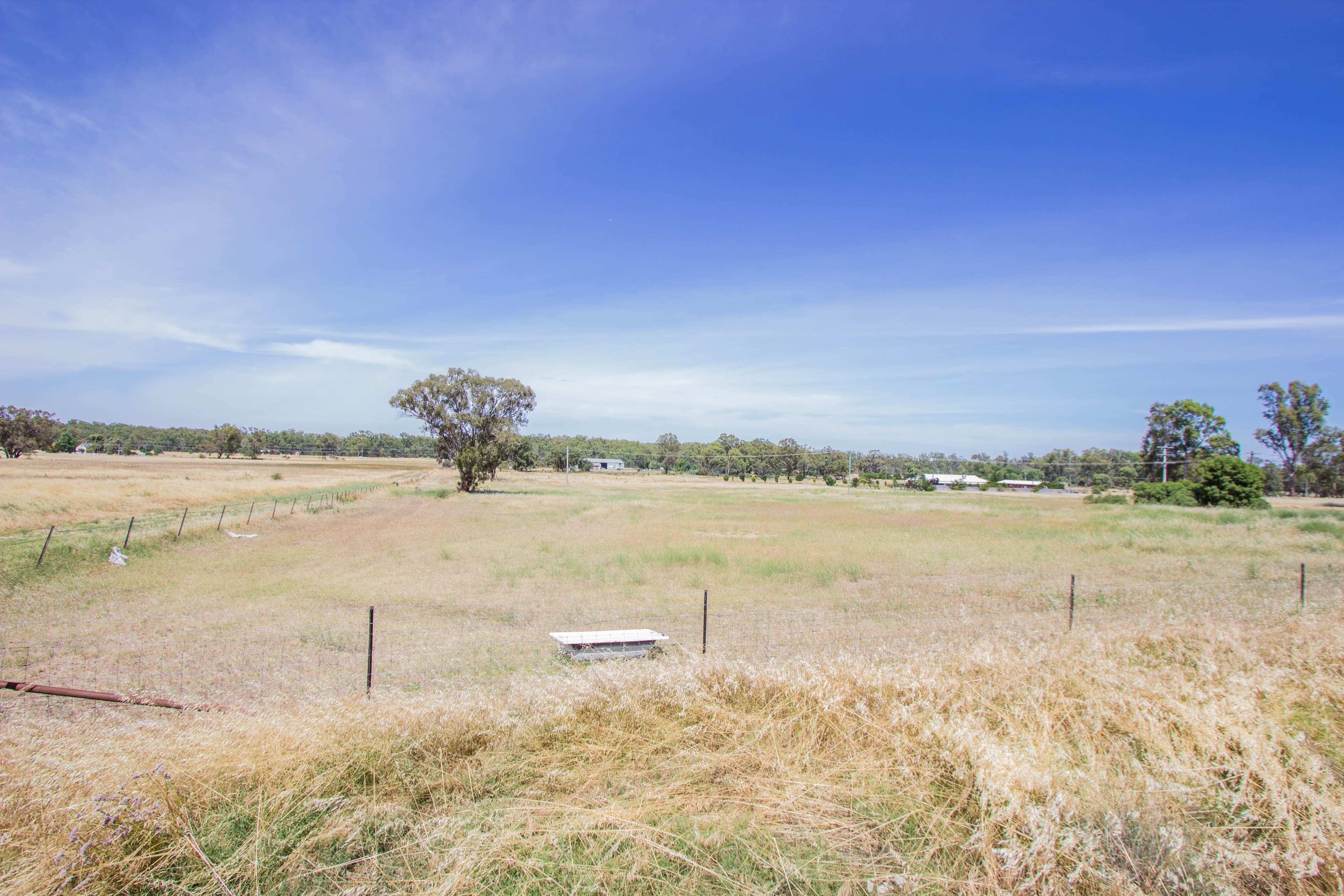 Lot 7 Irrigation Way, Narrandera NSW 2700, Narrandera - Thumbnail 4