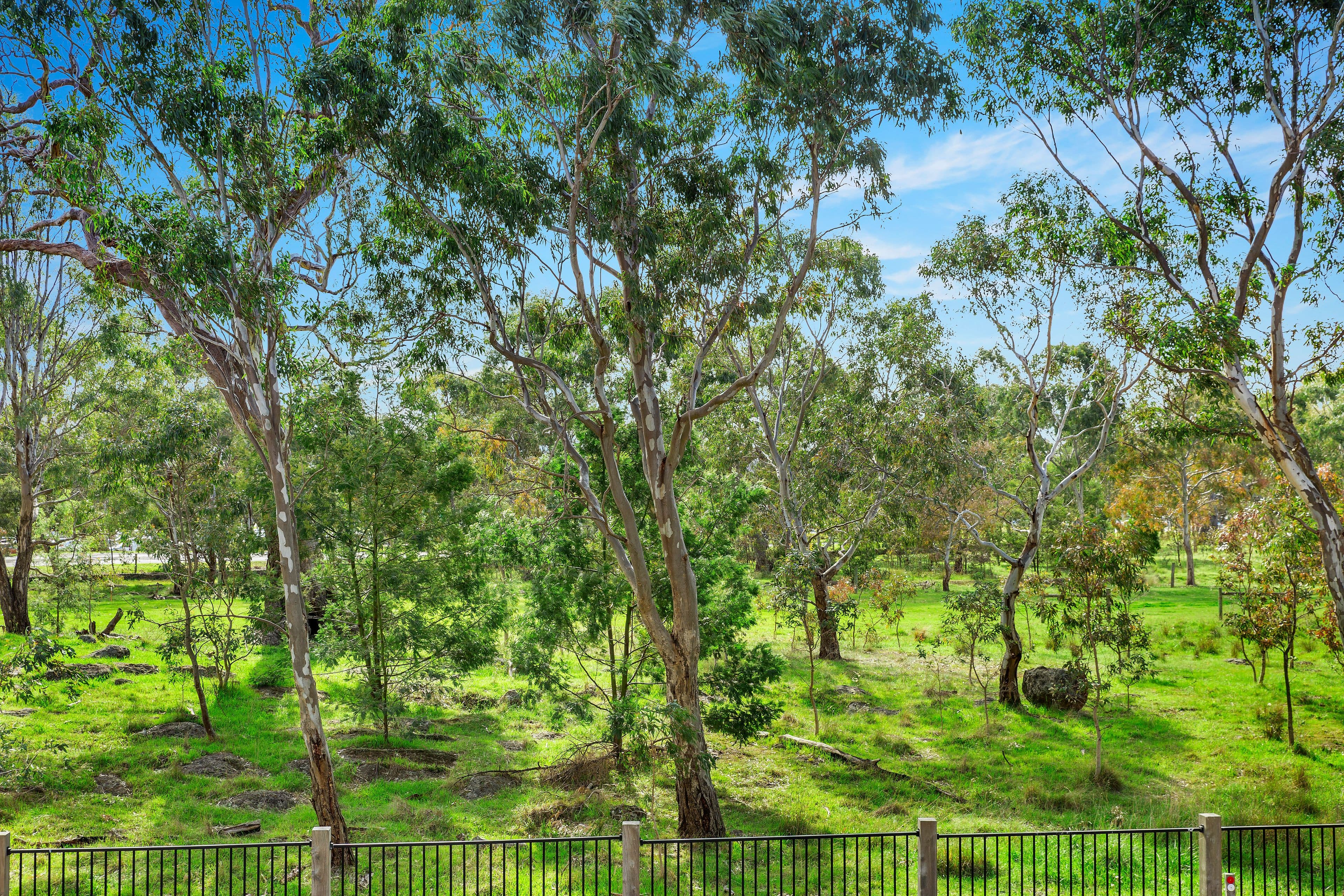 11 Gorman Drive, Mill Park VIC 3082, Mill Park - Thumbnail 8