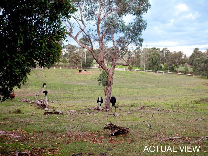 435 Baxter Tooradin Road, LANGWARRIN SOUTH VIC 3911, Langwarrin South - Thumbnail 8