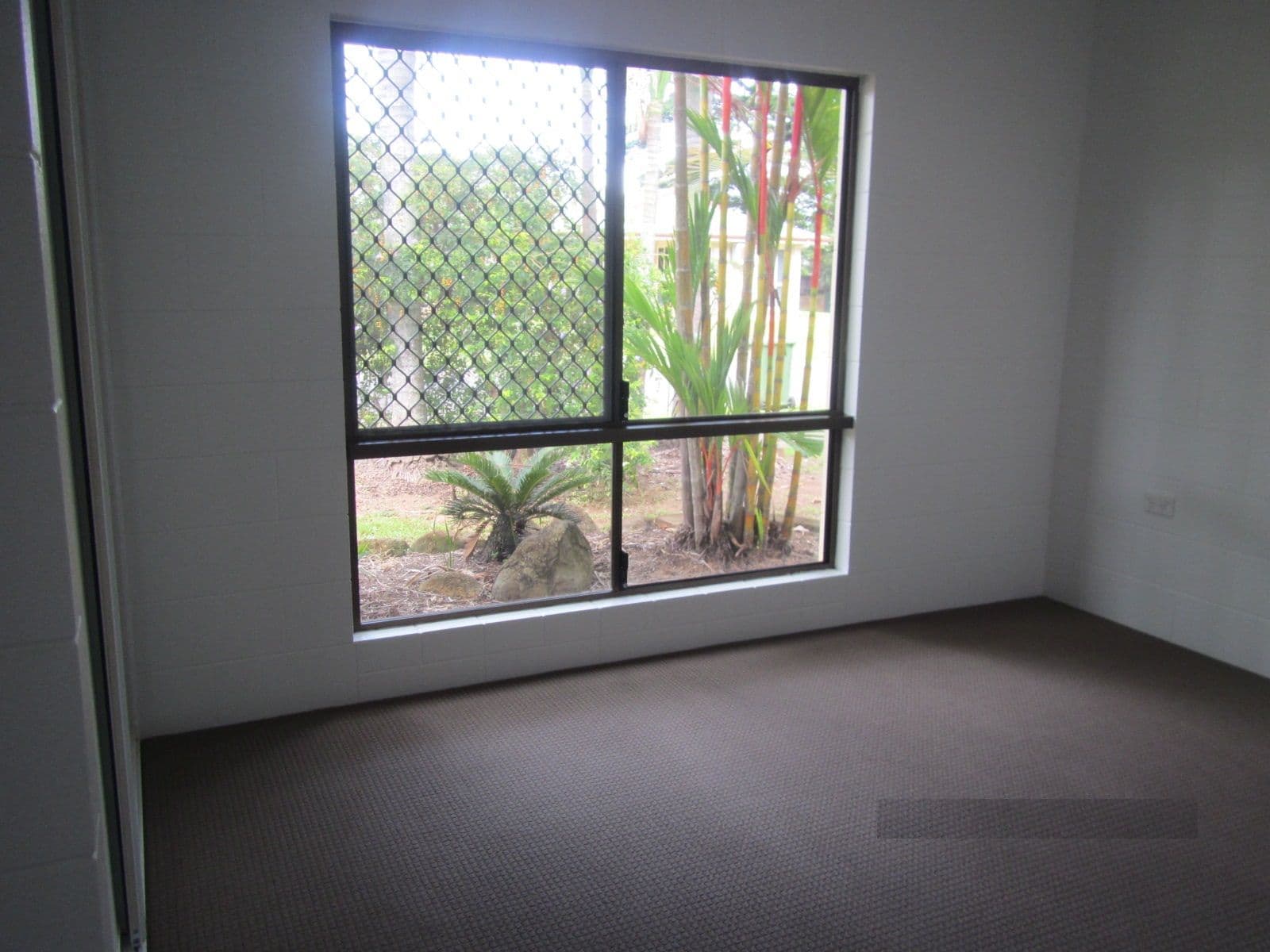 41 Accatino Street, Edmonton QLD 4869, Edmonton - Thumbnail 8