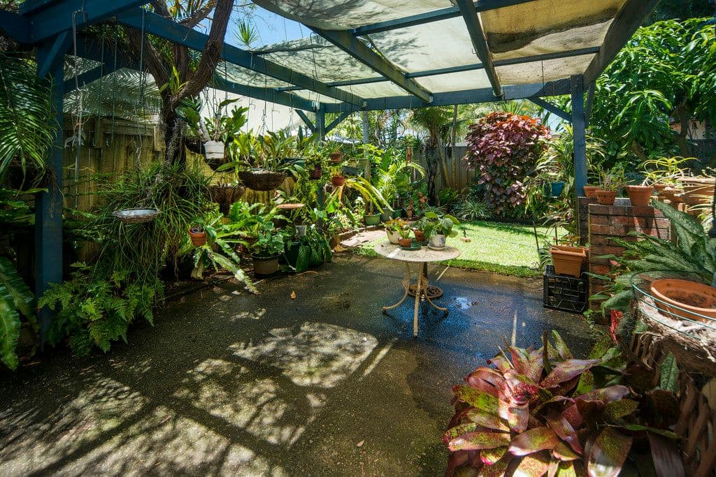 7 Magnolia Avenue, Hollywell QLD 4216, Hollywell - Thumbnail 6