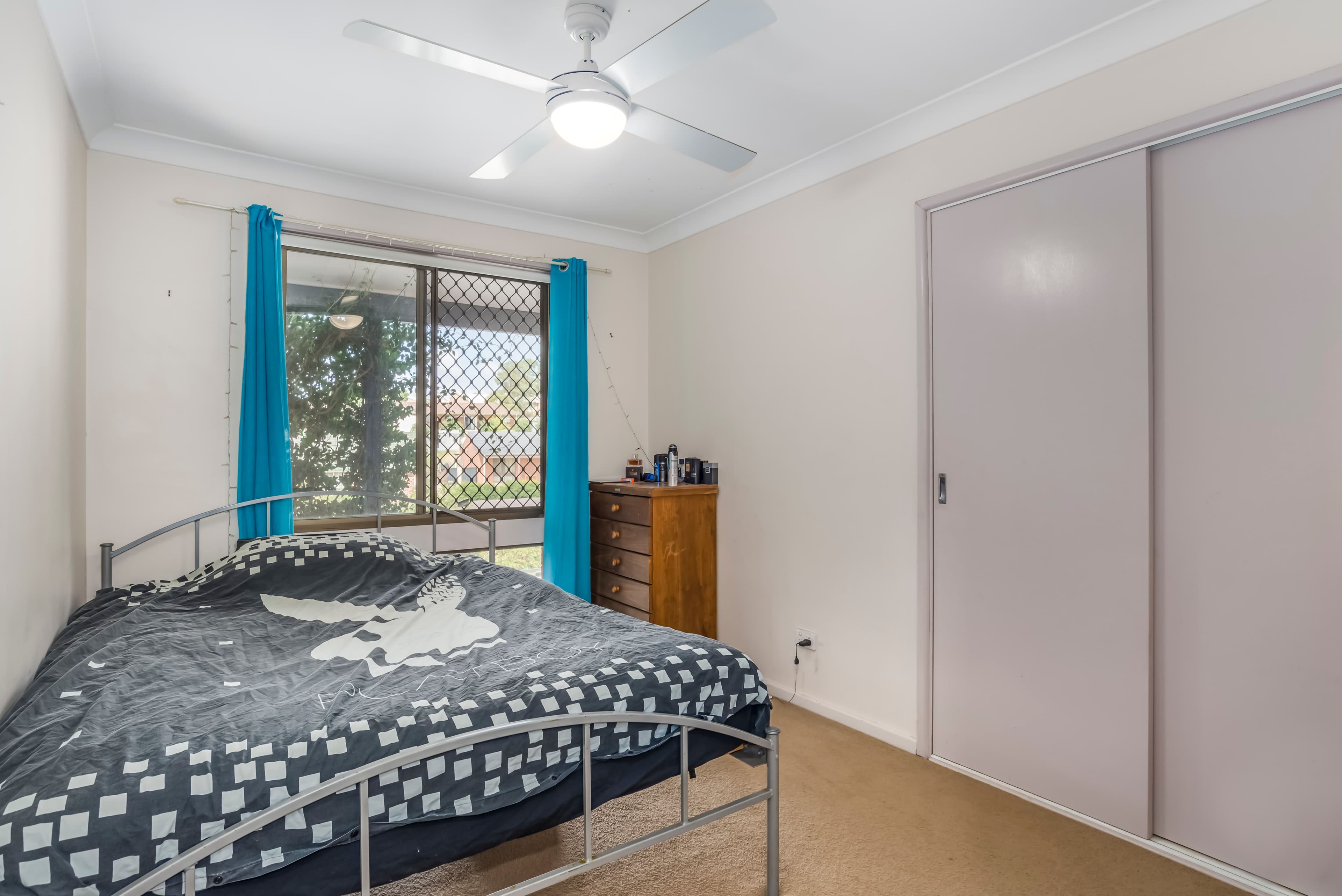 31 Bower Parade, Singleton NSW 2330, Singleton - Thumbnail 7