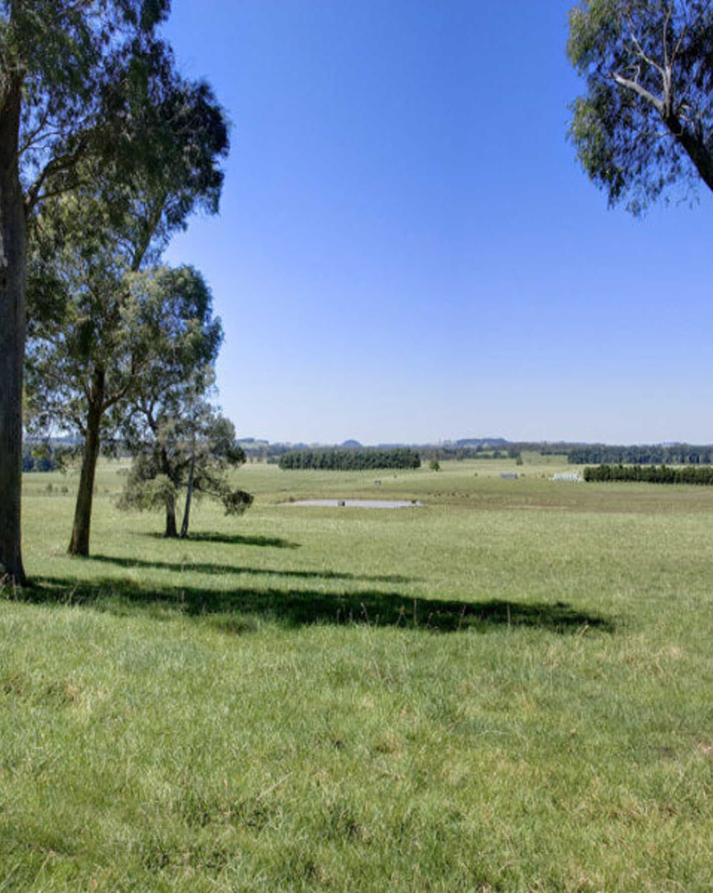 Headlam Road Moss Vale, Vale - Image 1
