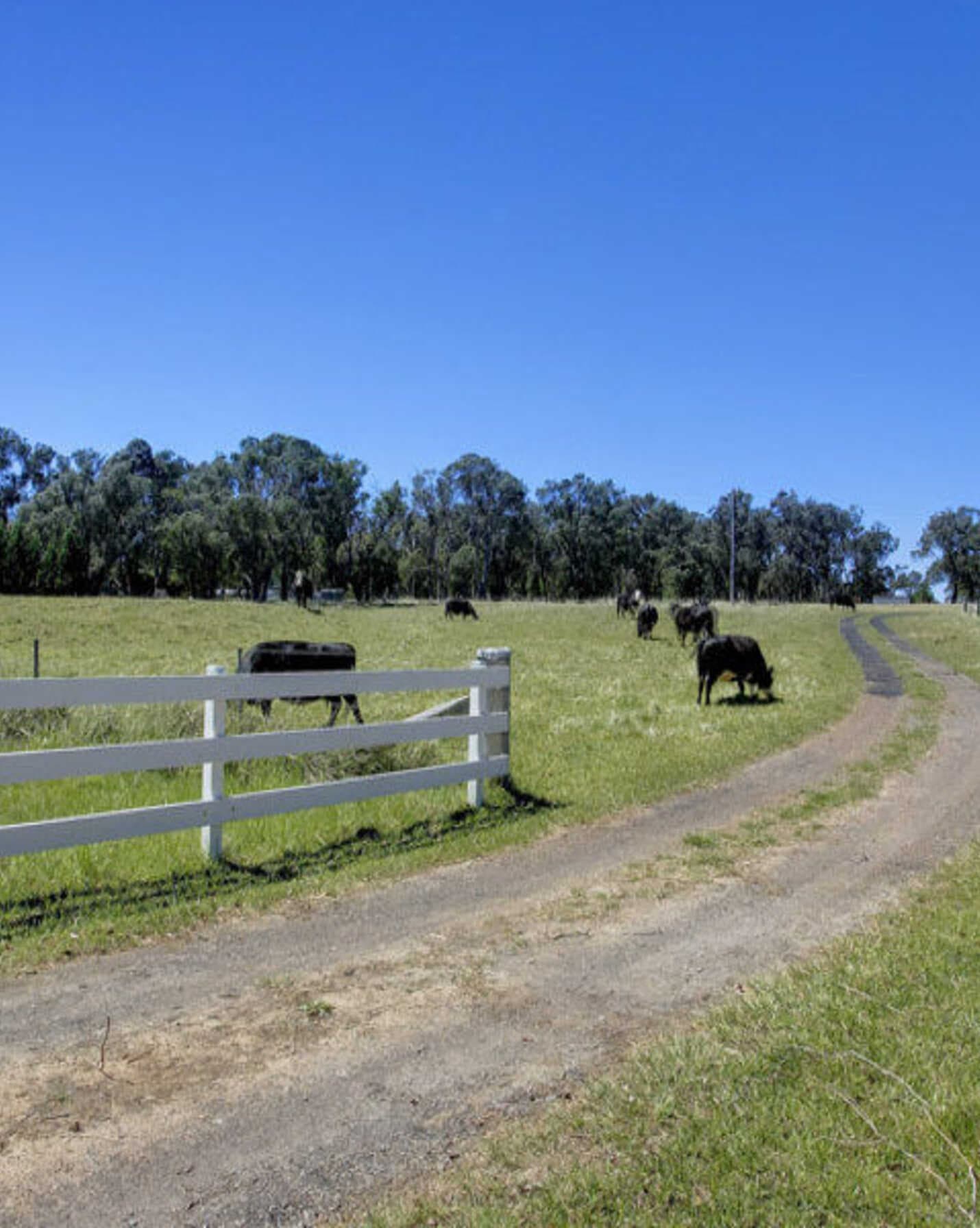 Headlam Road Moss Vale, Vale - Thumbnail 2