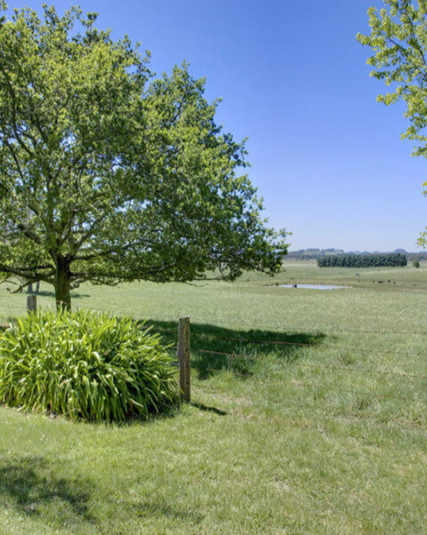 Headlam Road Moss Vale, Vale - Thumbnail 3