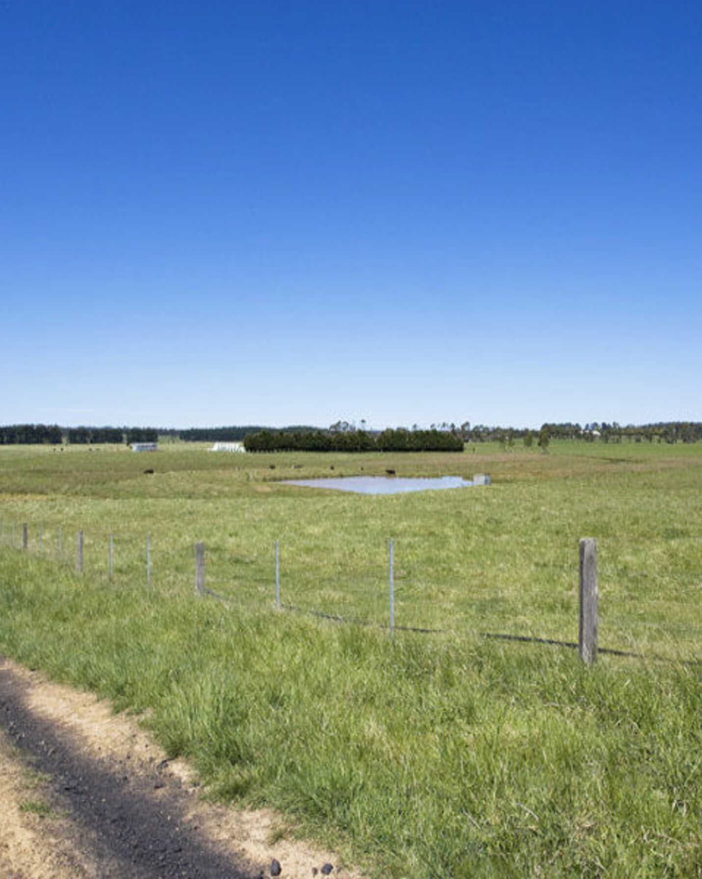Headlam Road Moss Vale, Vale - Thumbnail 5