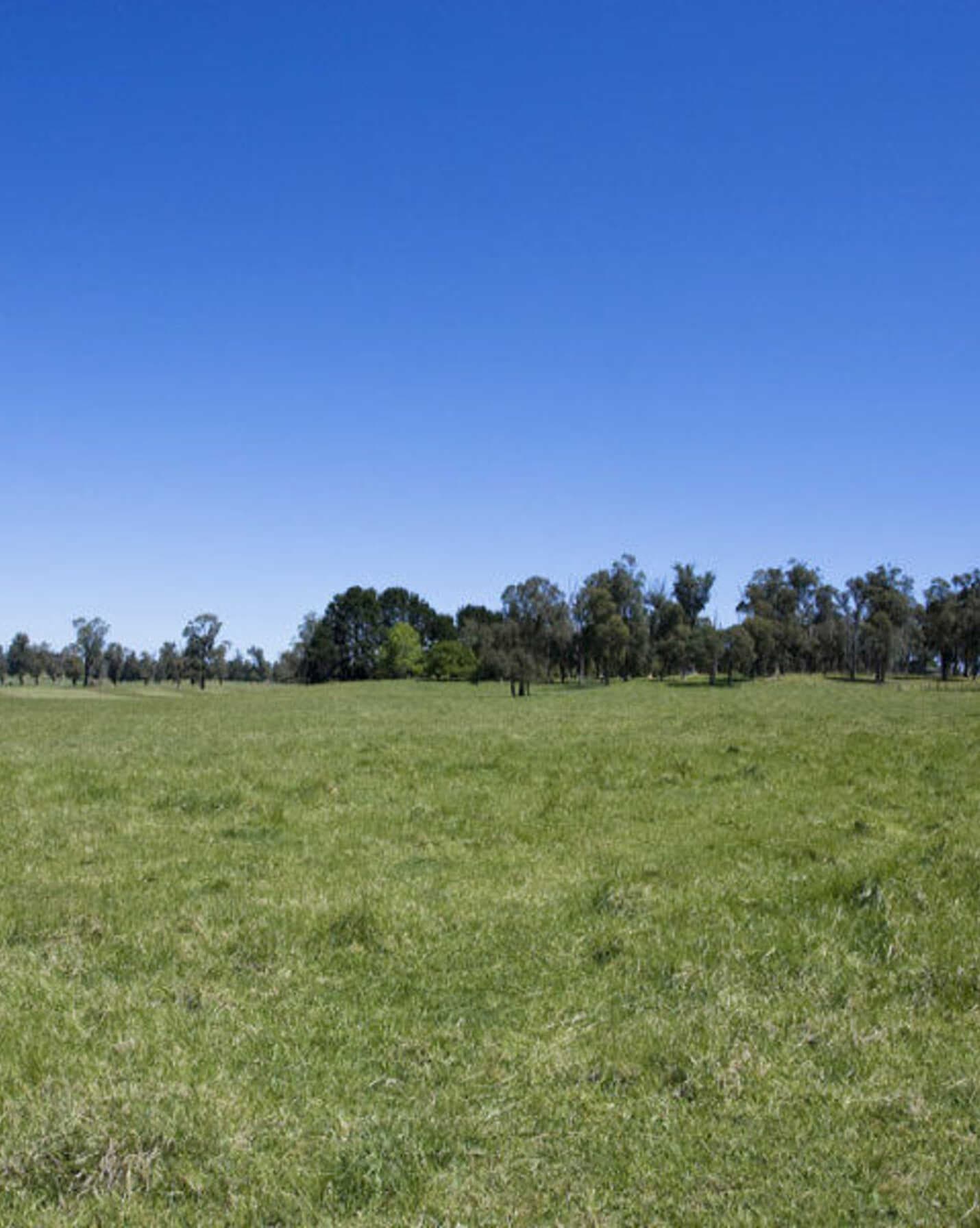 Headlam Road Moss Vale, Vale - Thumbnail 6
