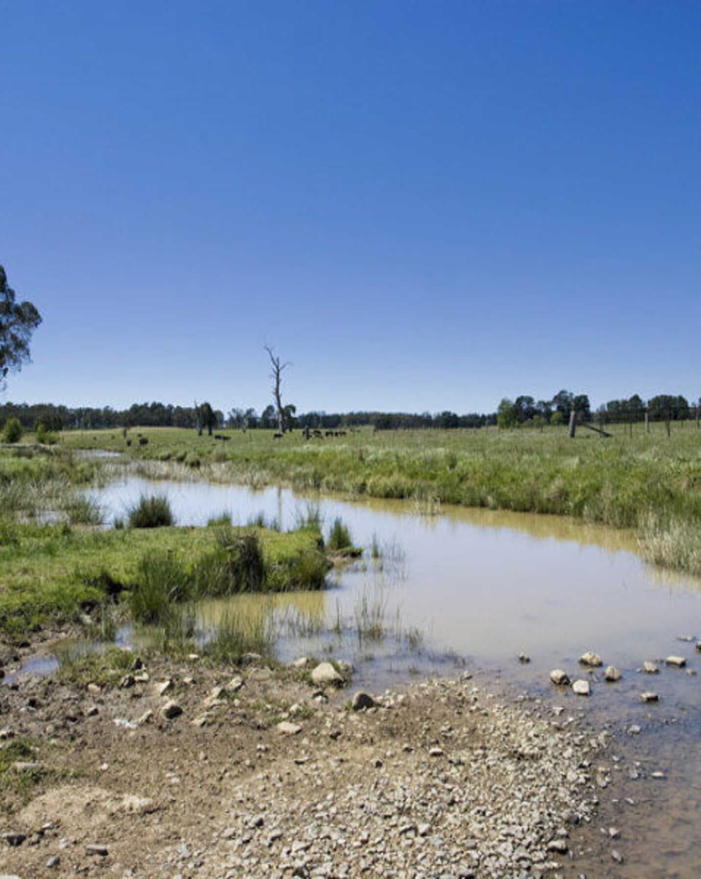 Headlam Road Moss Vale, Vale - Thumbnail 8