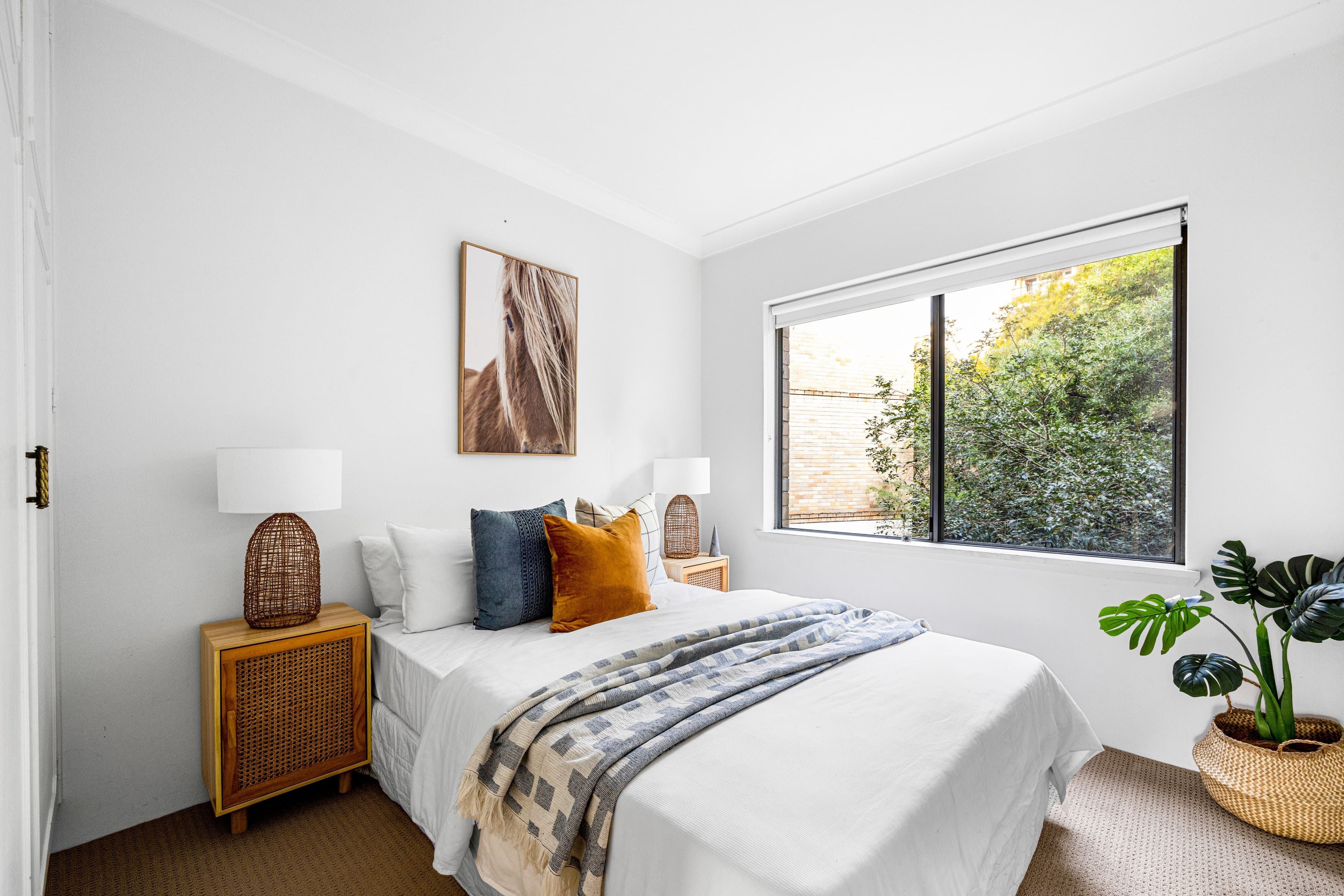 3 Mosman Street, Mosman NSW 2088, Mosman - Thumbnail 7