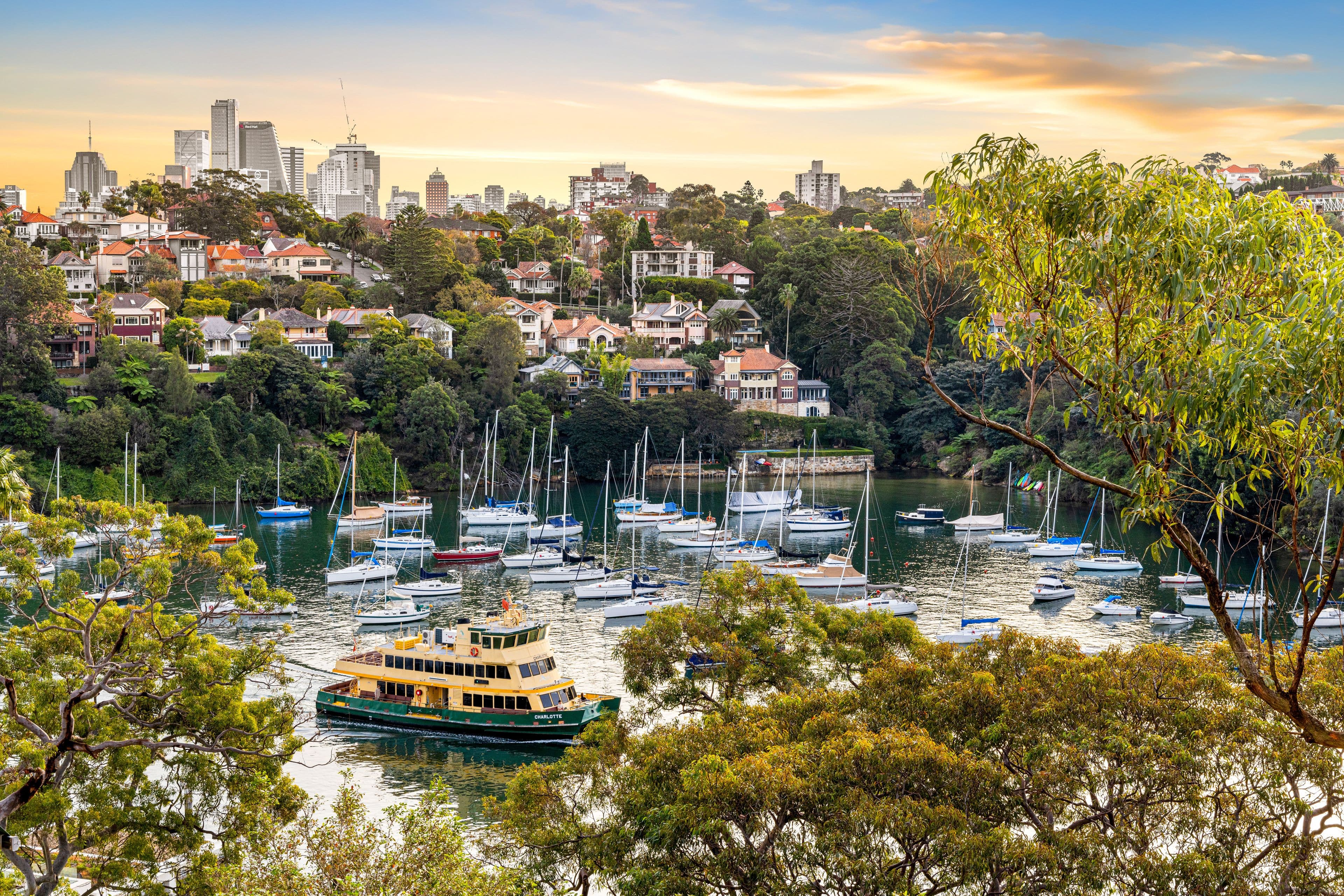 3 Mosman Street, Mosman NSW 2088, Mosman - Thumbnail 8