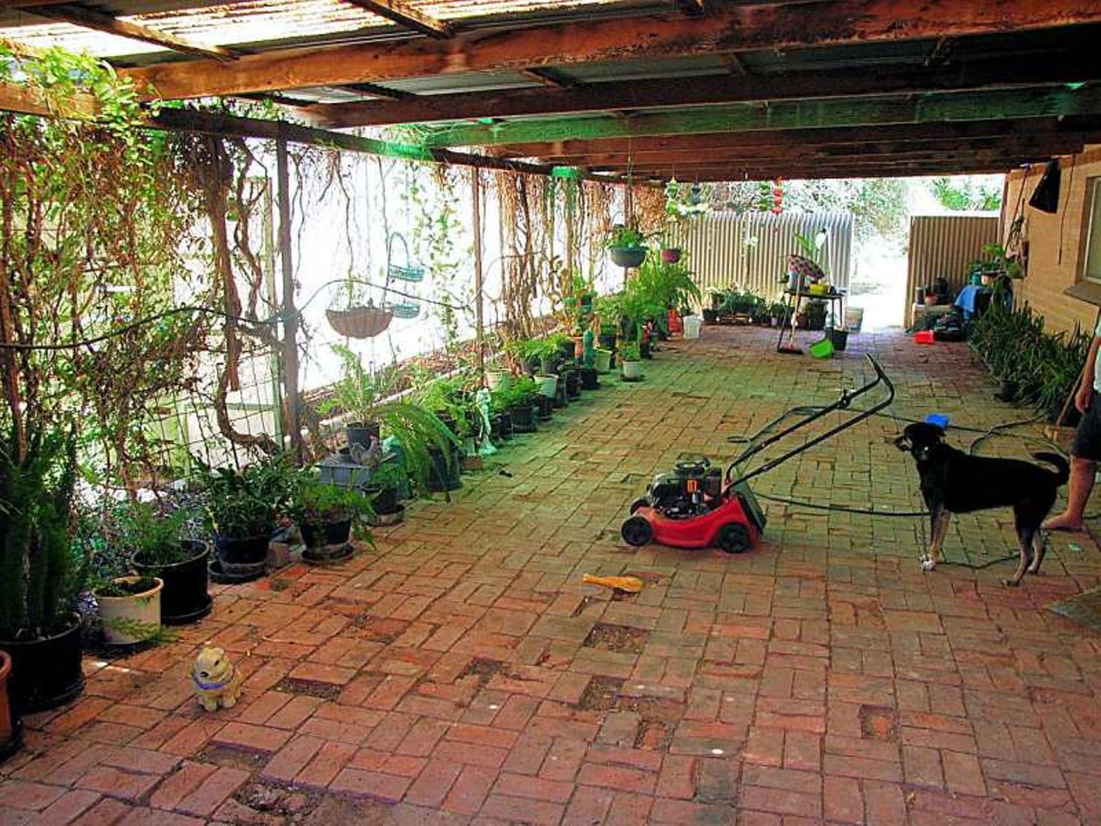 21 Elizabeth Street, Mildura - Thumbnail 7