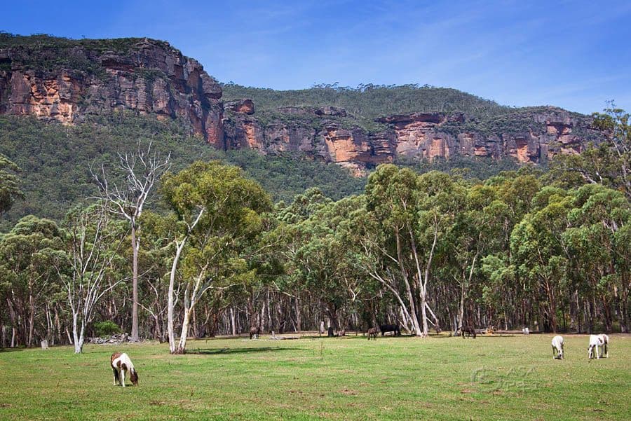 829 Megalong Road, Megalong NSW 2785, Megalong Valley - Thumbnail 2