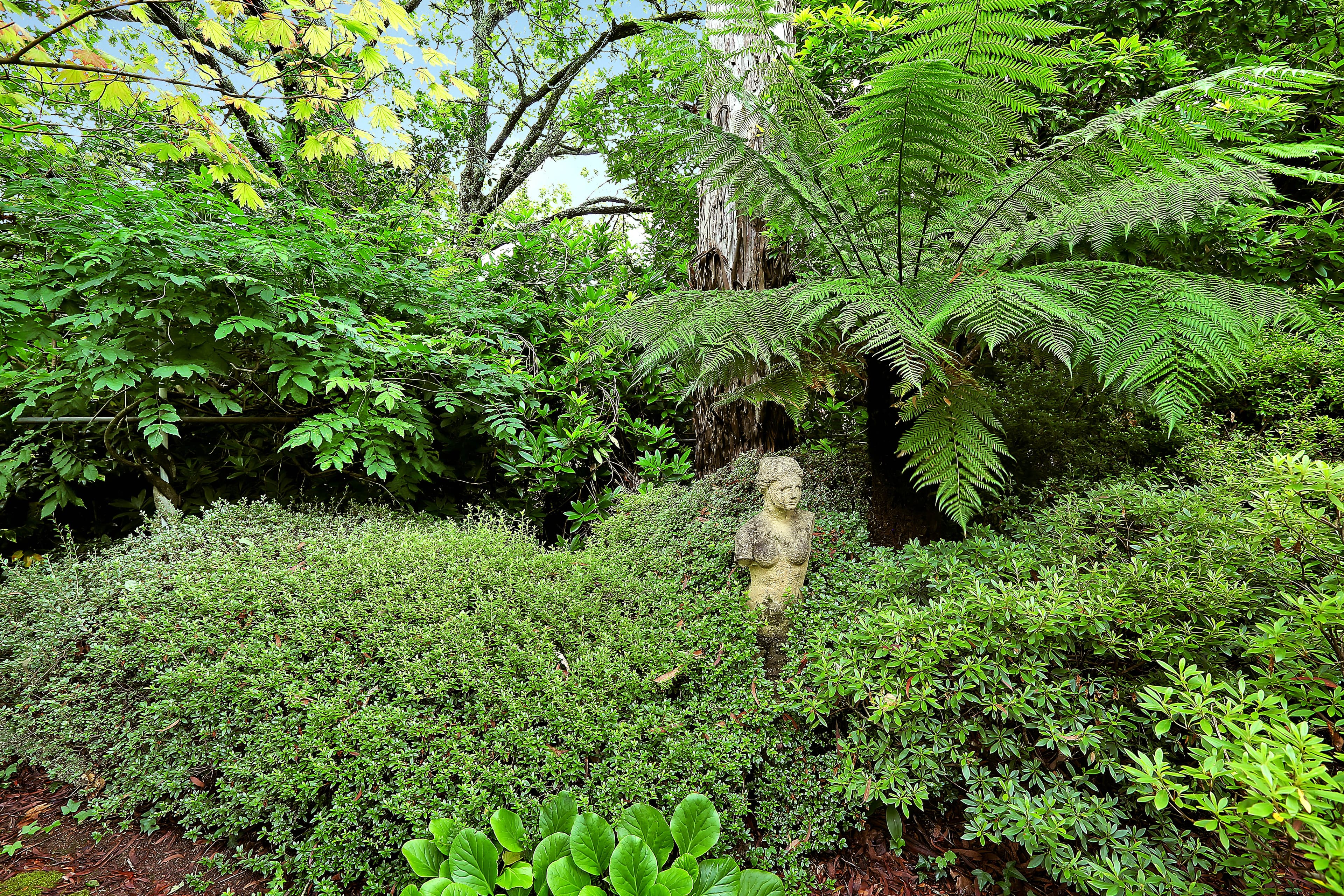 25-27 Evans Lookout Road, Blackheath NSW 2785, Blackheath - Thumbnail 6