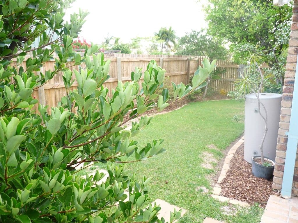10-12 Link Road, VICTORIA POINT QLD 4165, Victoria Point - Thumbnail 5
