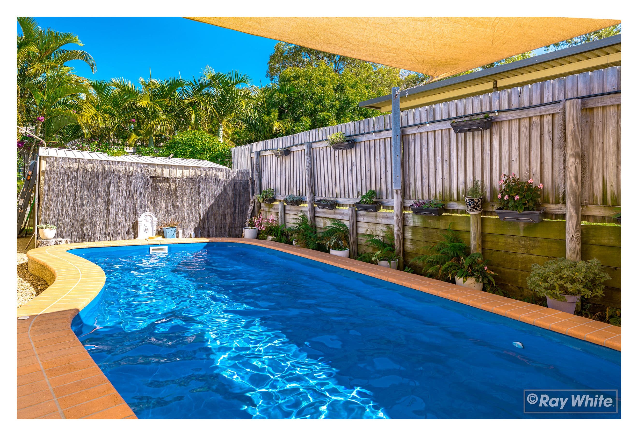 25 Frangipani Drive, Lammermoor QLD 4703, Lammermoor - Thumbnail 4