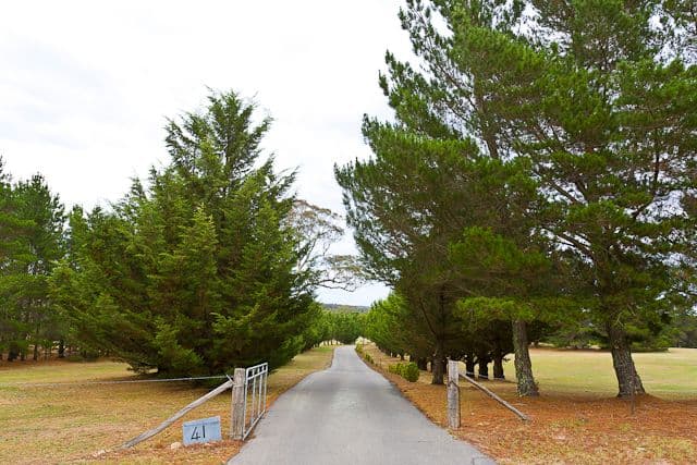 41 Merino Vale Drive, Wamboin - Thumbnail 3