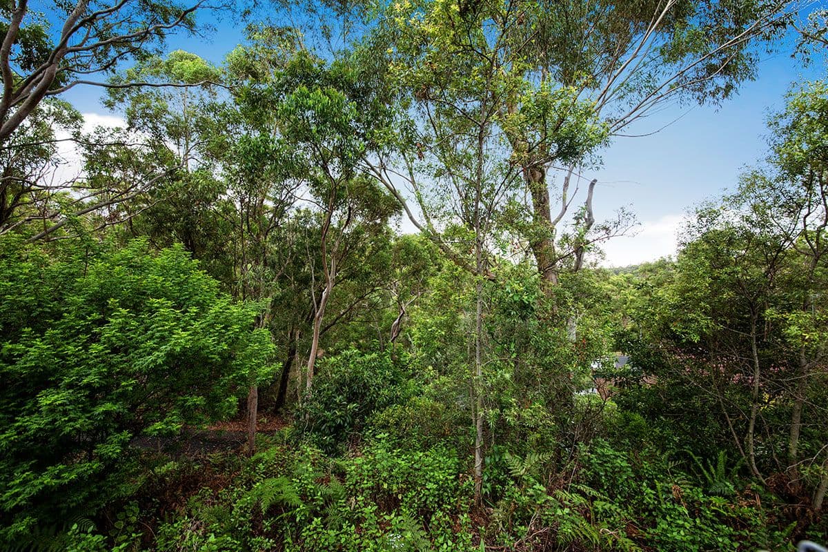 6 Sedgeman Avenue, Menai - Thumbnail 4