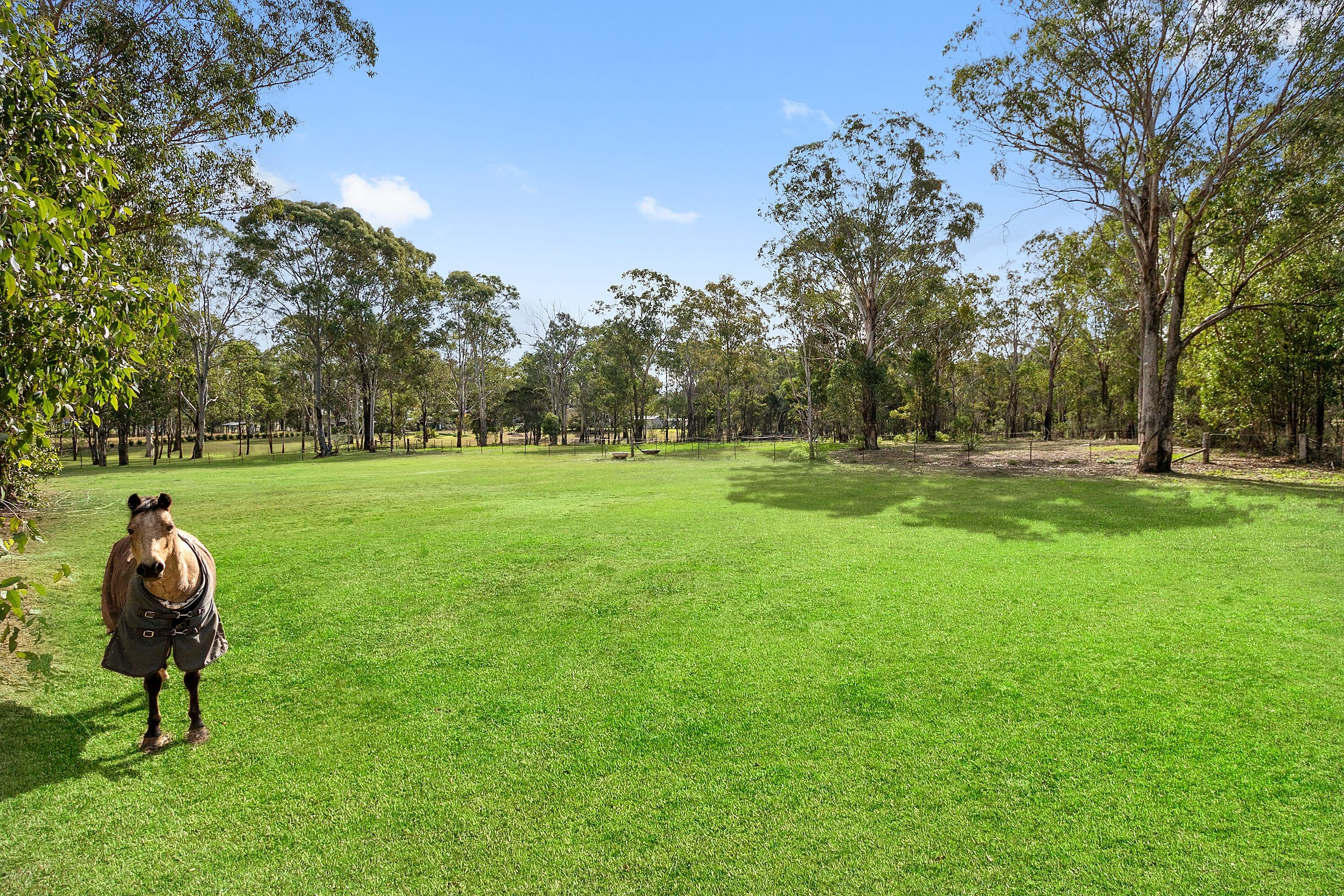 54 Glebe Road, Pitt Town - Thumbnail 4