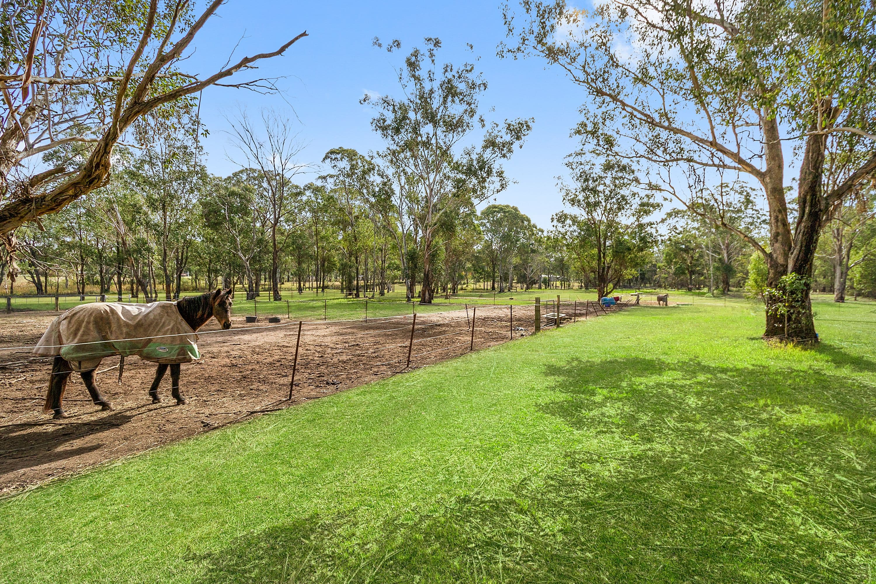 54 Glebe Road, Pitt Town - Thumbnail 5