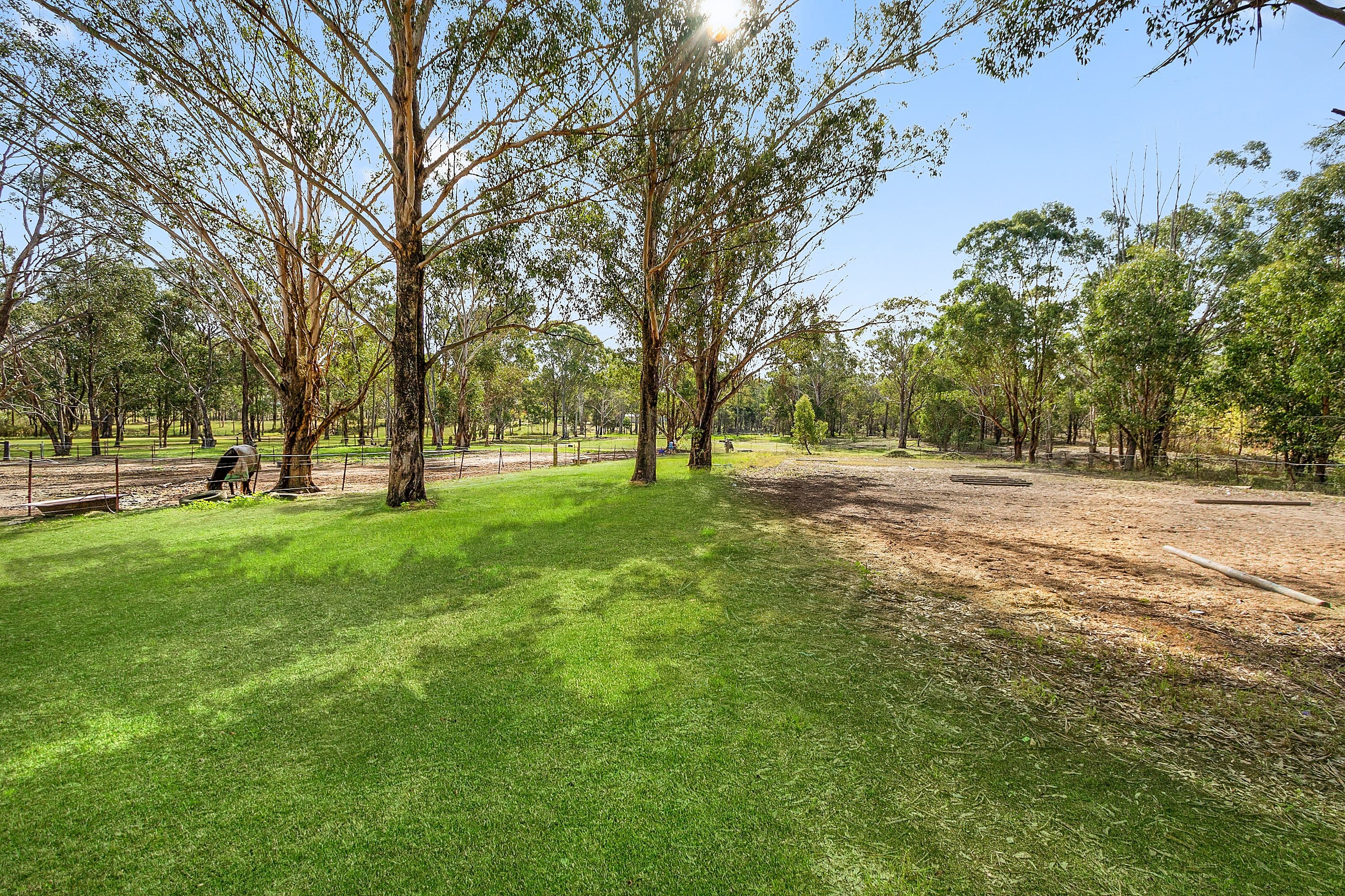 54 Glebe Road, Pitt Town - Thumbnail 6