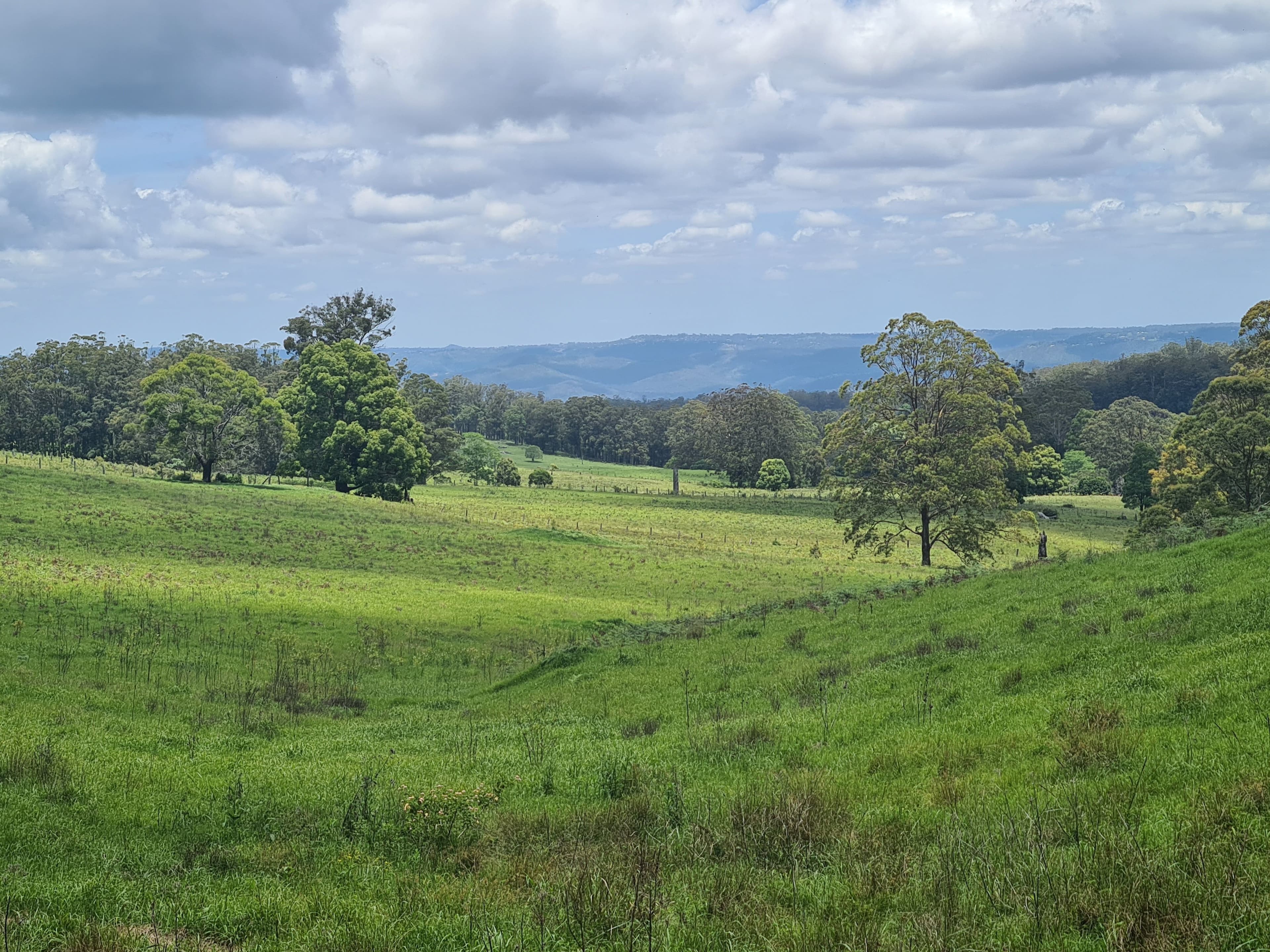 L84 National Park Road, Ravensbourne QLD 4352, Ravensbourne - Image 1