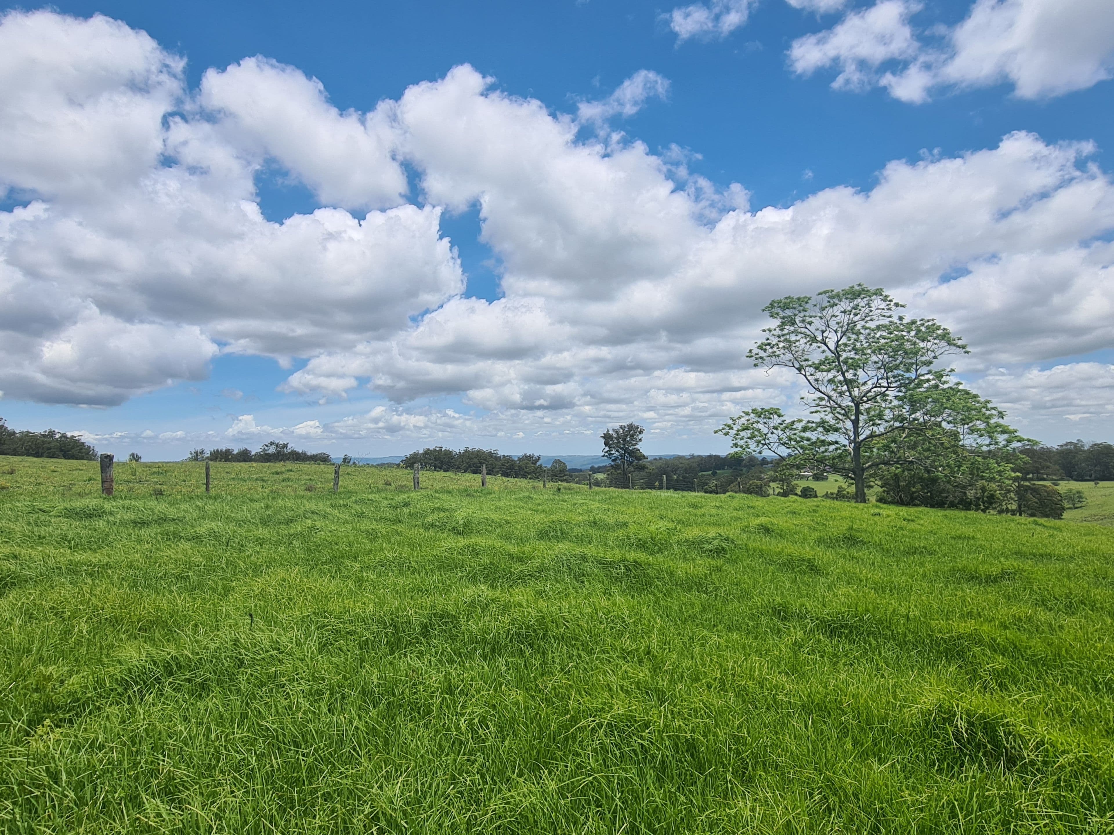L84 National Park Road, Ravensbourne QLD 4352, Ravensbourne - Thumbnail 2