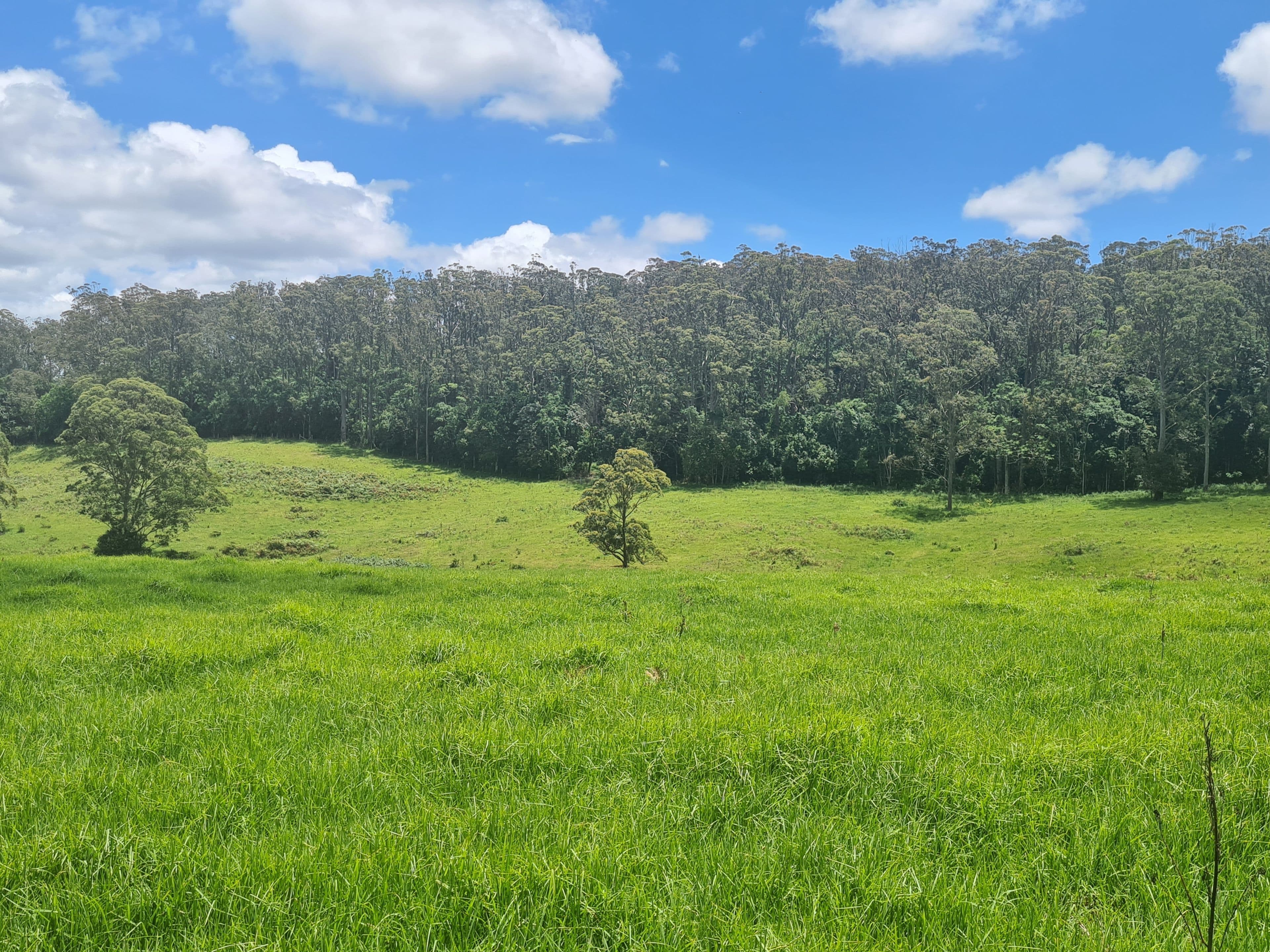 L84 National Park Road, Ravensbourne QLD 4352, Ravensbourne - Thumbnail 3