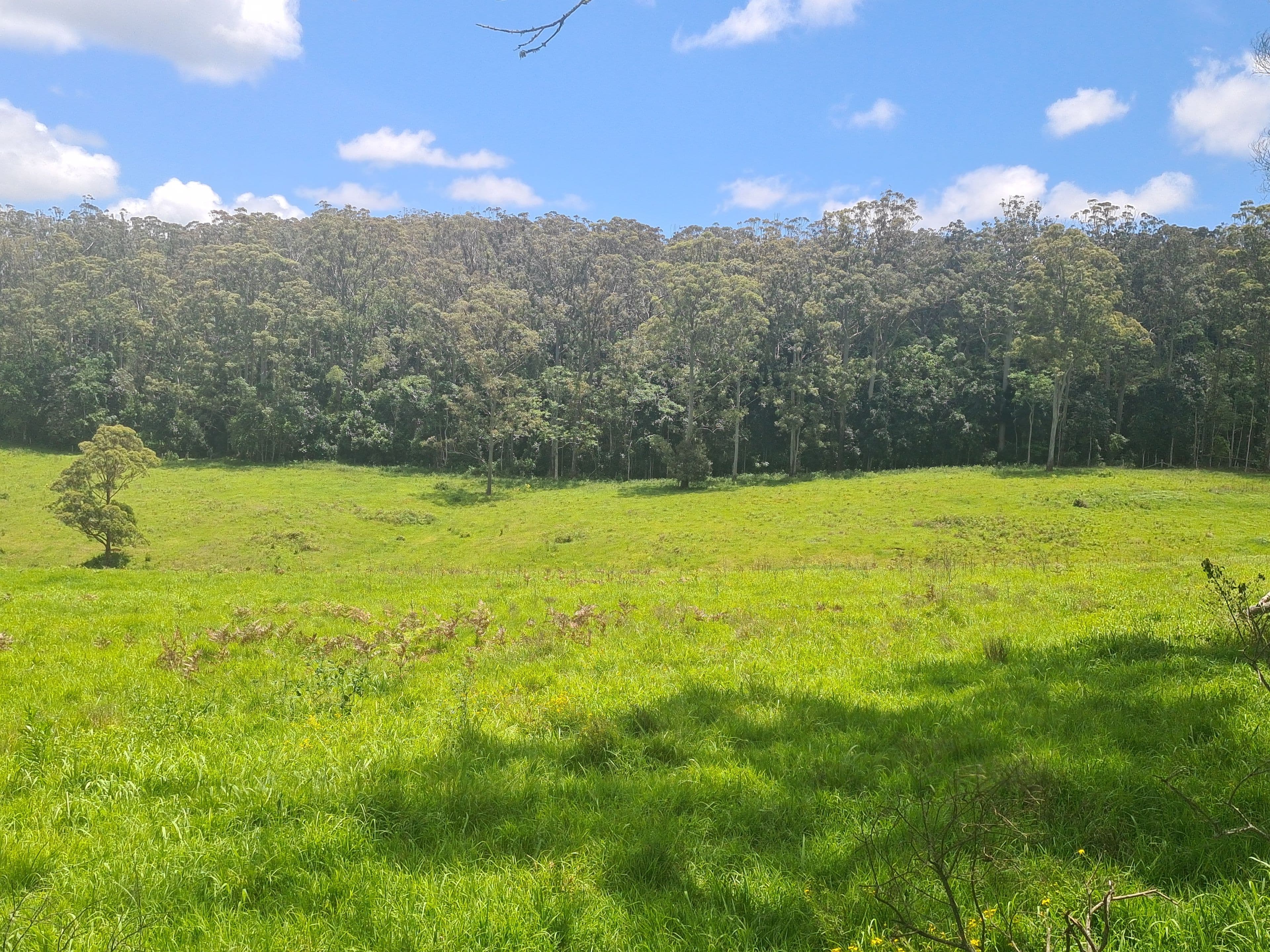 L84 National Park Road, Ravensbourne QLD 4352, Ravensbourne - Thumbnail 4