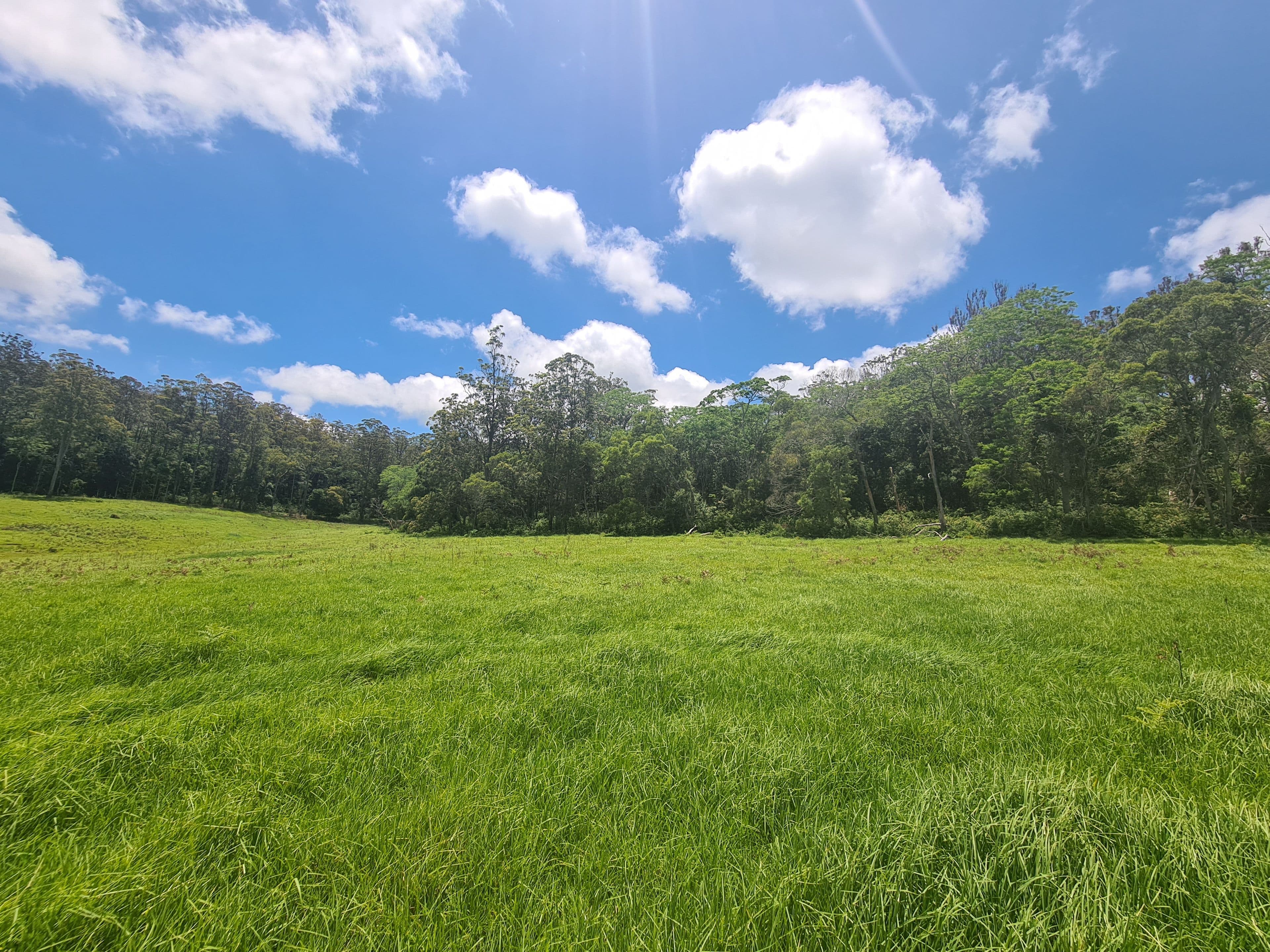L84 National Park Road, Ravensbourne QLD 4352, Ravensbourne - Thumbnail 5