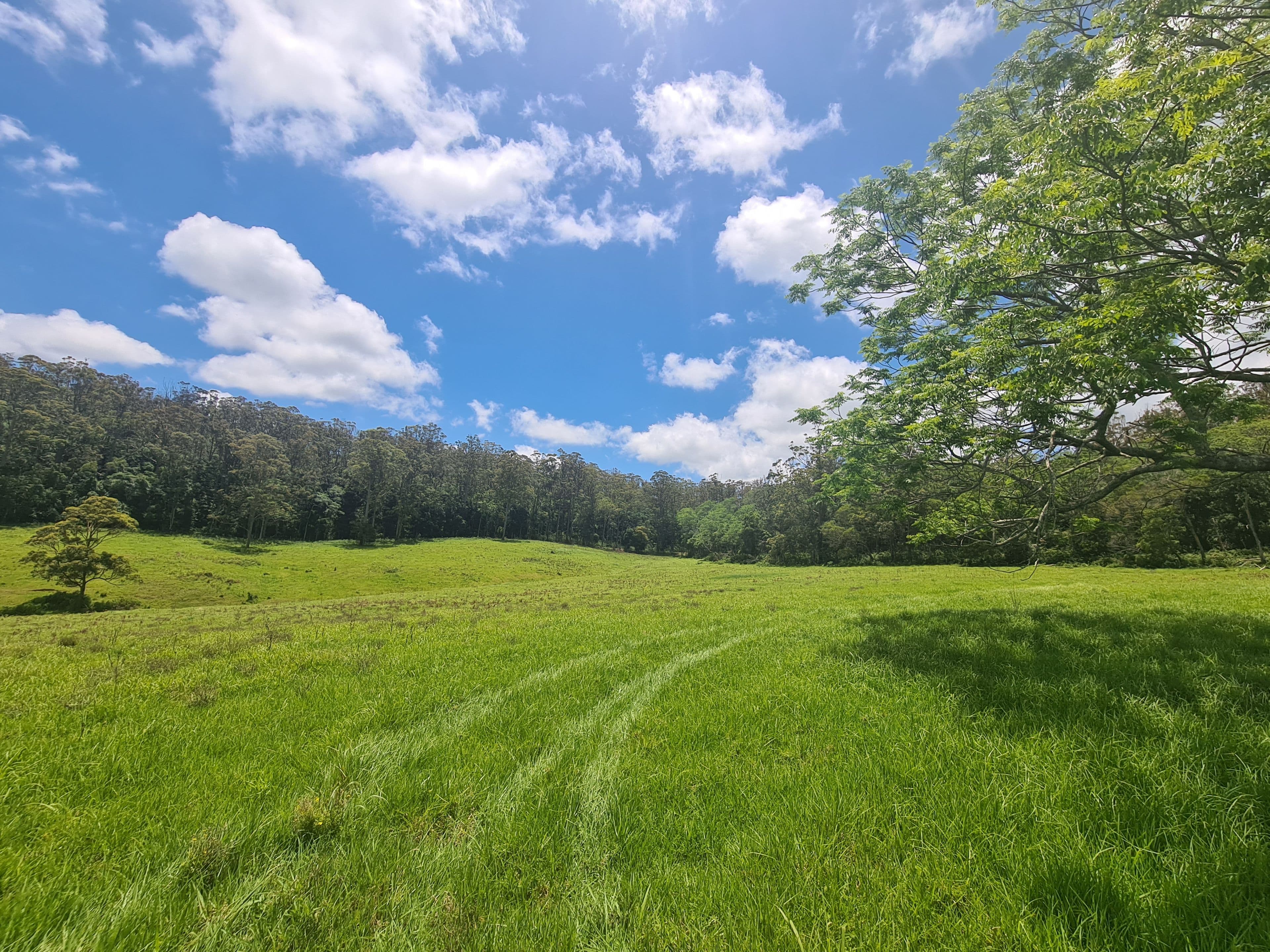 L84 National Park Road, Ravensbourne QLD 4352, Ravensbourne - Thumbnail 6