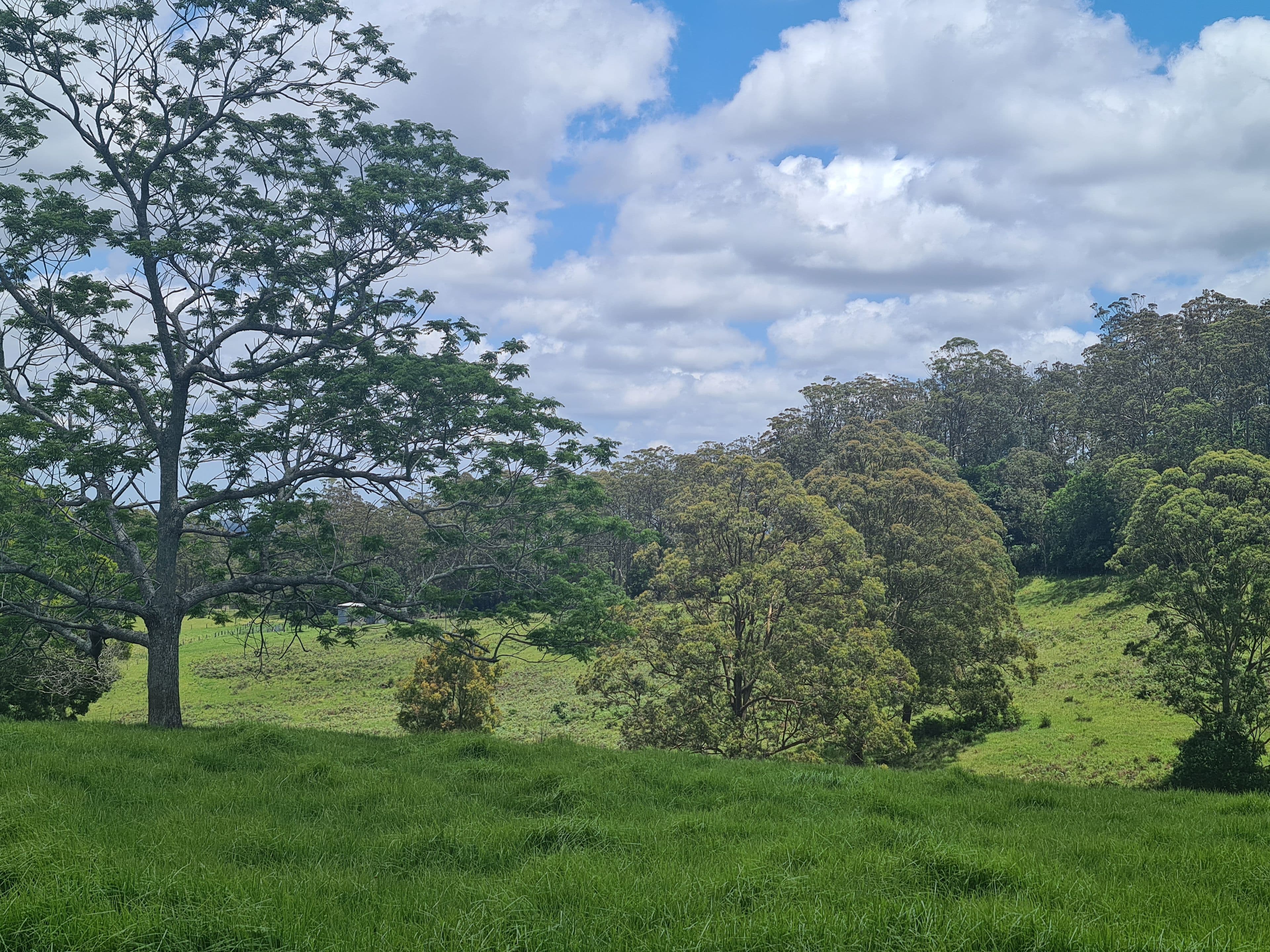 L84 National Park Road, Ravensbourne QLD 4352, Ravensbourne - Thumbnail 7