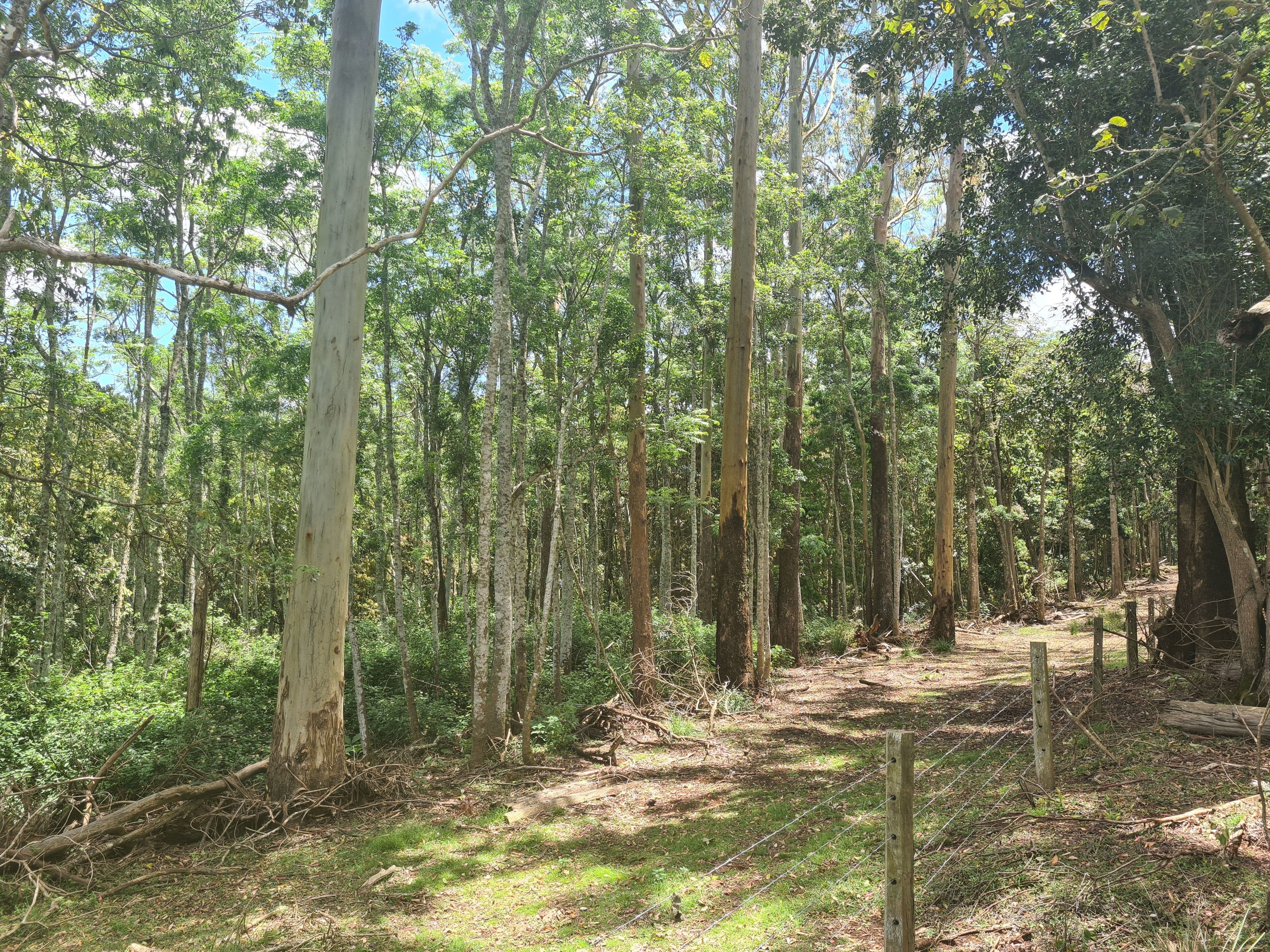 L84 National Park Road, Ravensbourne QLD 4352, Ravensbourne - Thumbnail 8