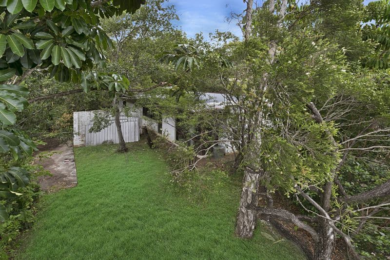 51 Clarina Street, Chapel Hill QLD 4069, Chapel Hill - Thumbnail 5