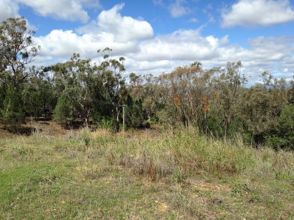 28 Ray Carter Drive, Quirindi NSW 2343, Quirindi - Thumbnail 3