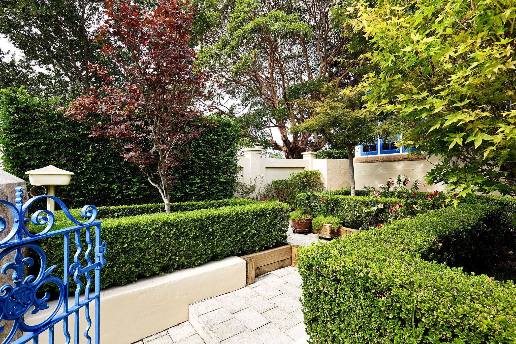 113 Cowles Road, Mosman - Thumbnail 2